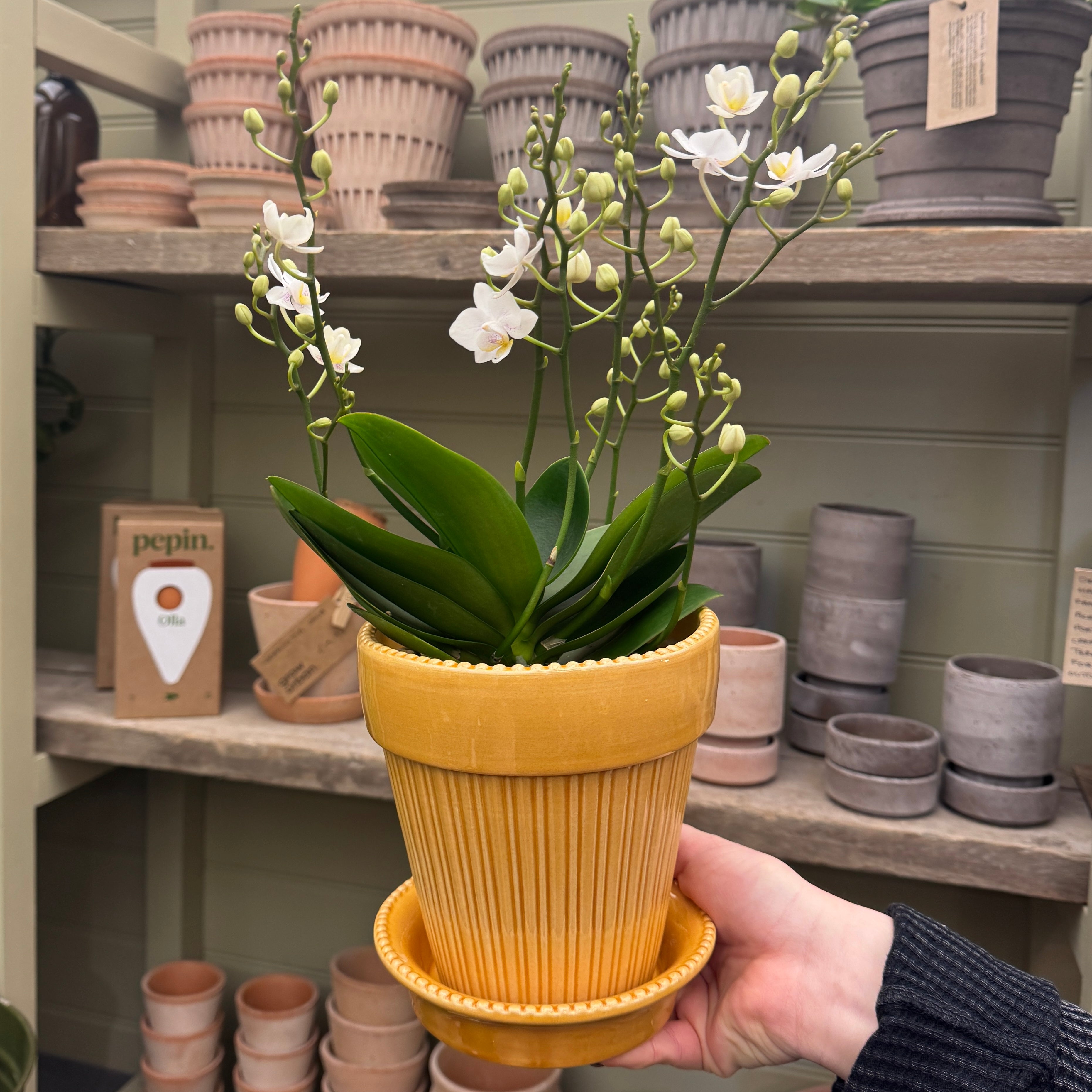 Bergs Potter Simona Pot – Amber Yellow Glazed 14cm