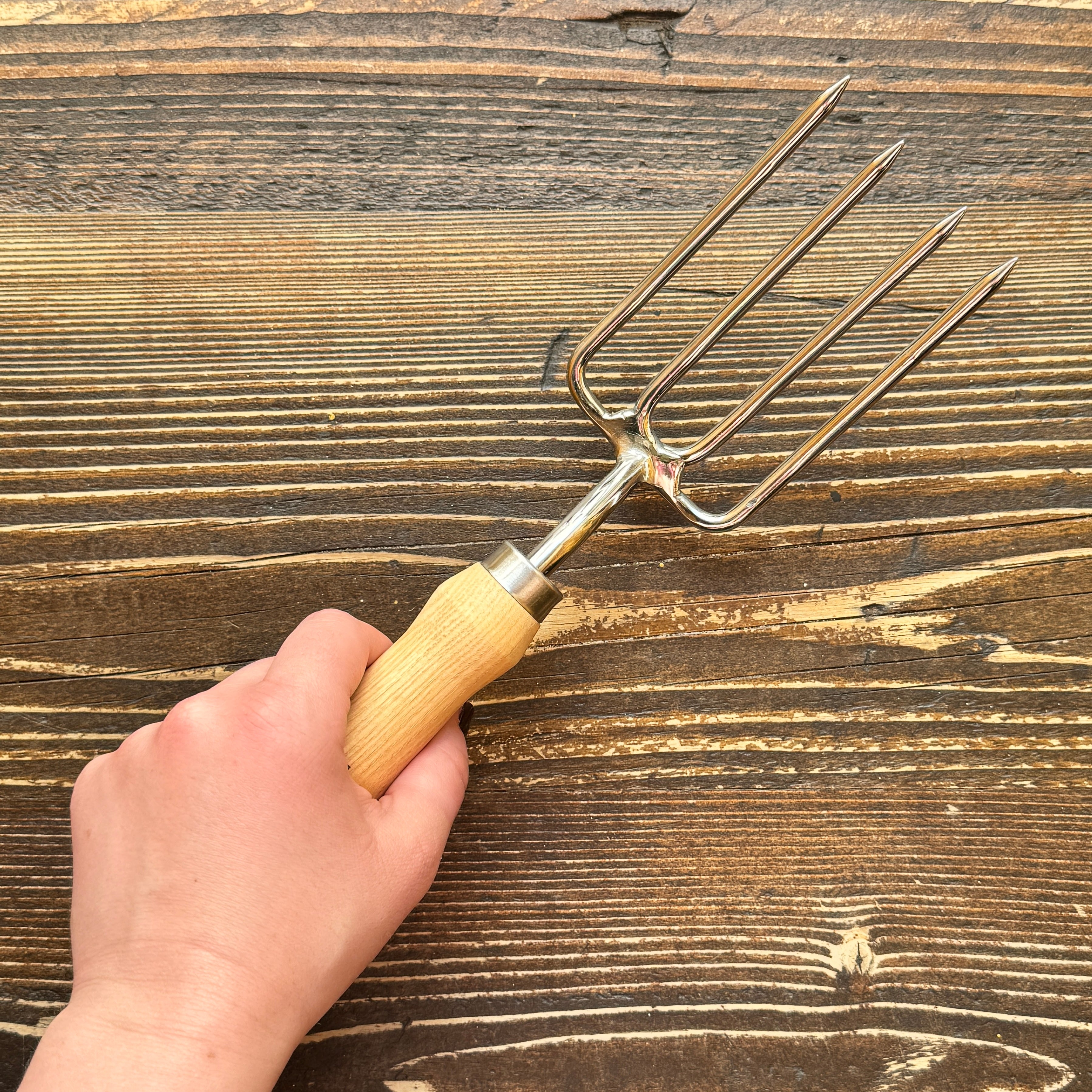 Round-Tined Fork | RHS Endorsed