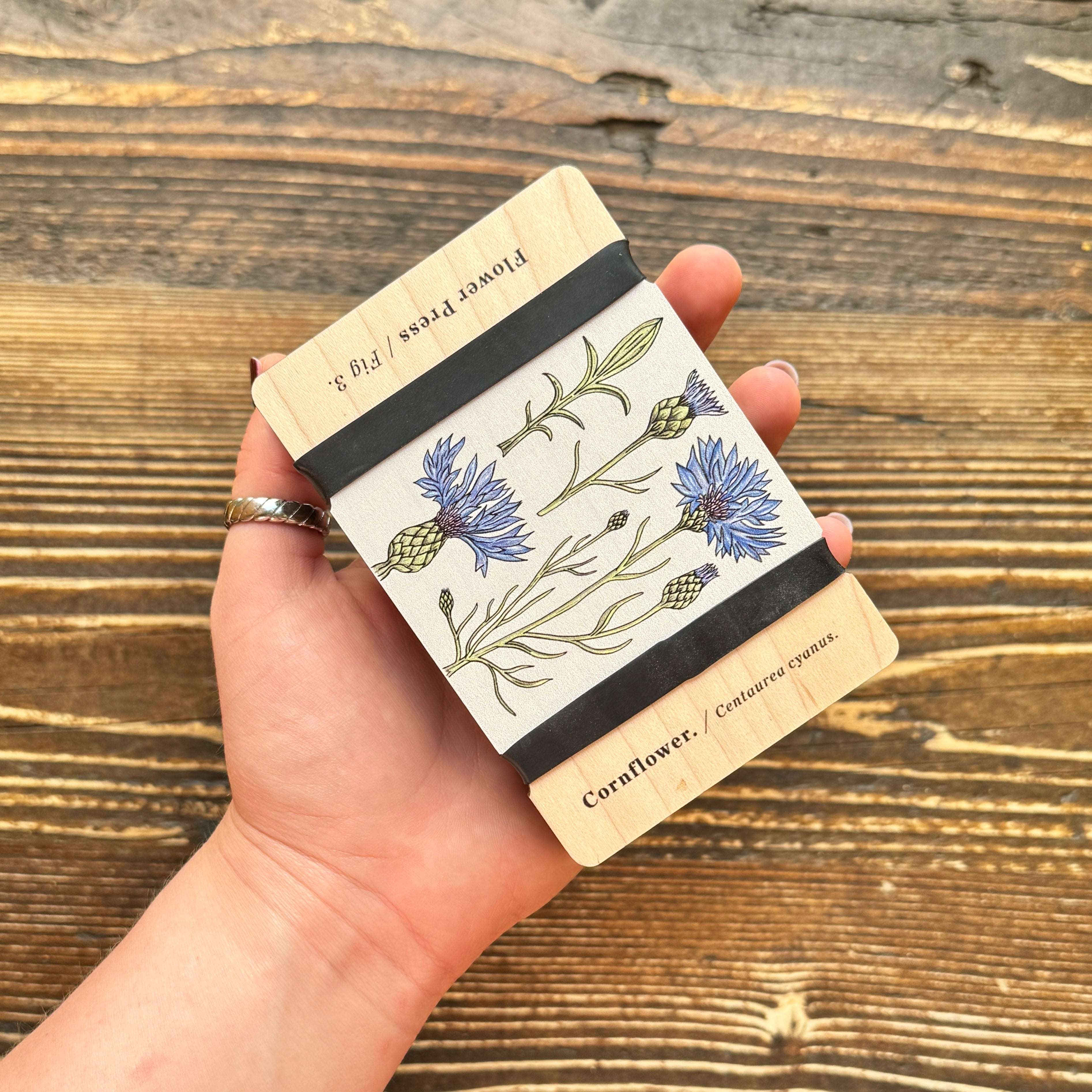 Pocket Flower Press – Vintage Cornflower | Studio Wald