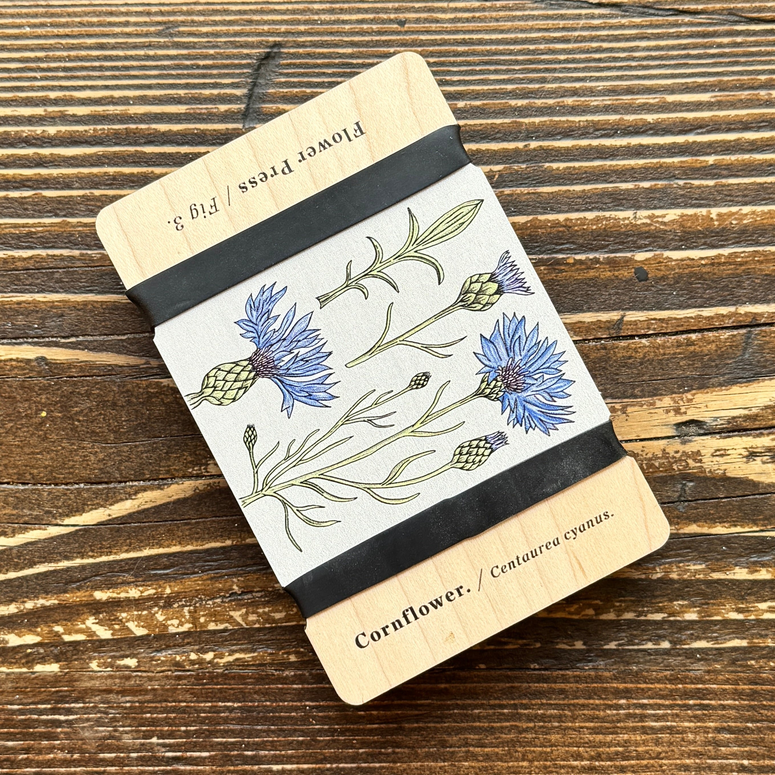 Pocket Flower Press – Vintage Cornflower | Studio Wald