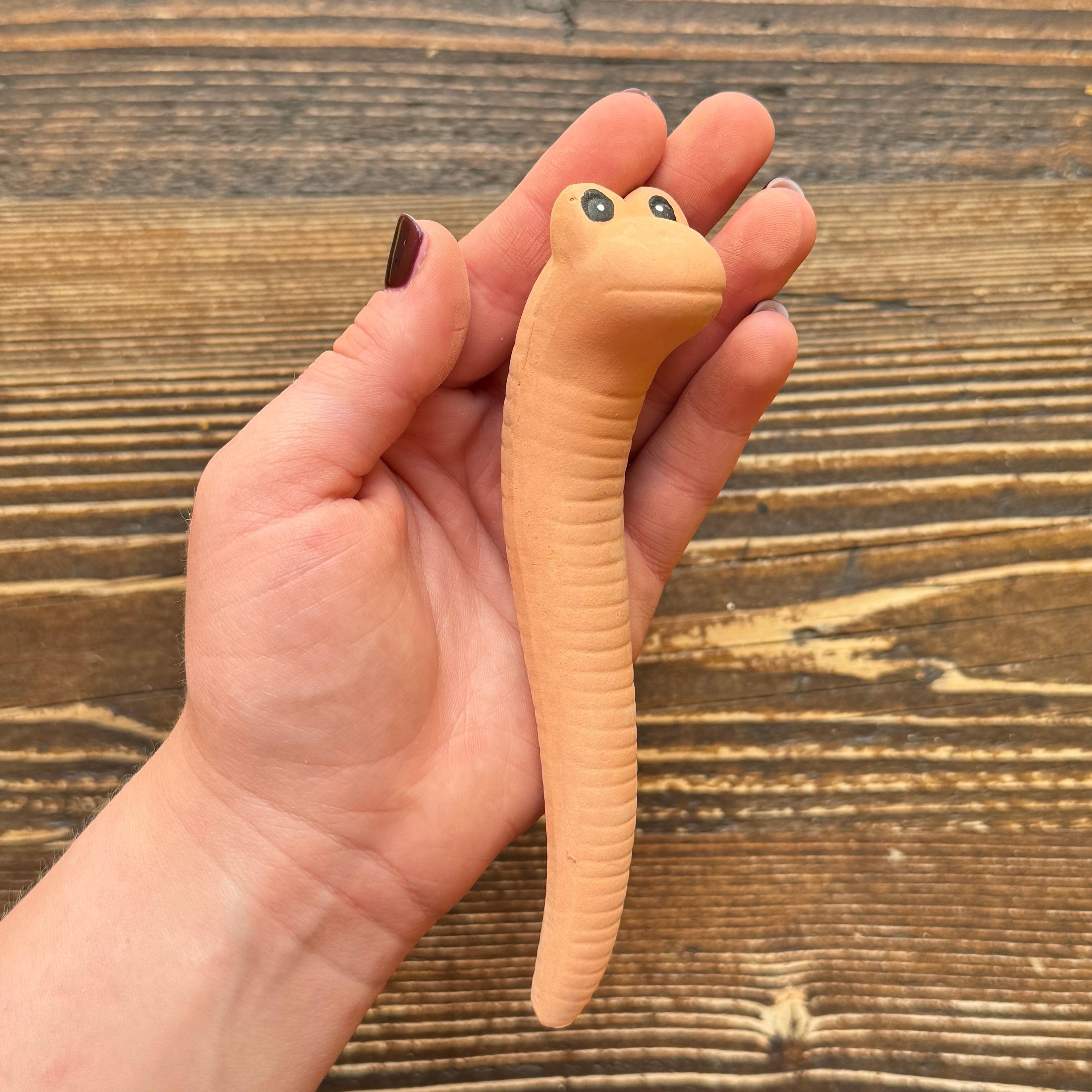 Willy the Worm: Plant Watering Sensor