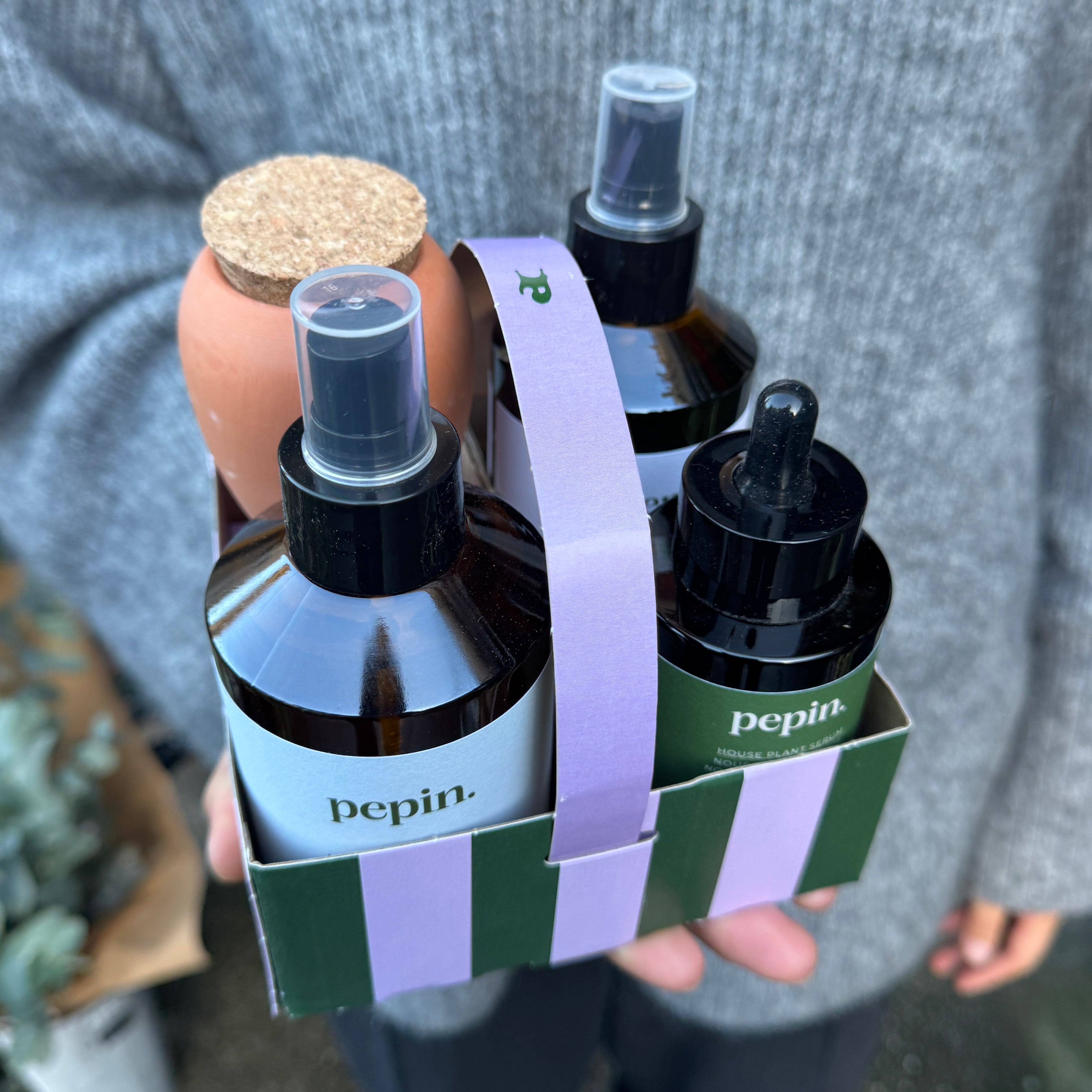 Pepin Plant Care Routine – Complete Indoor Plant Care Kit