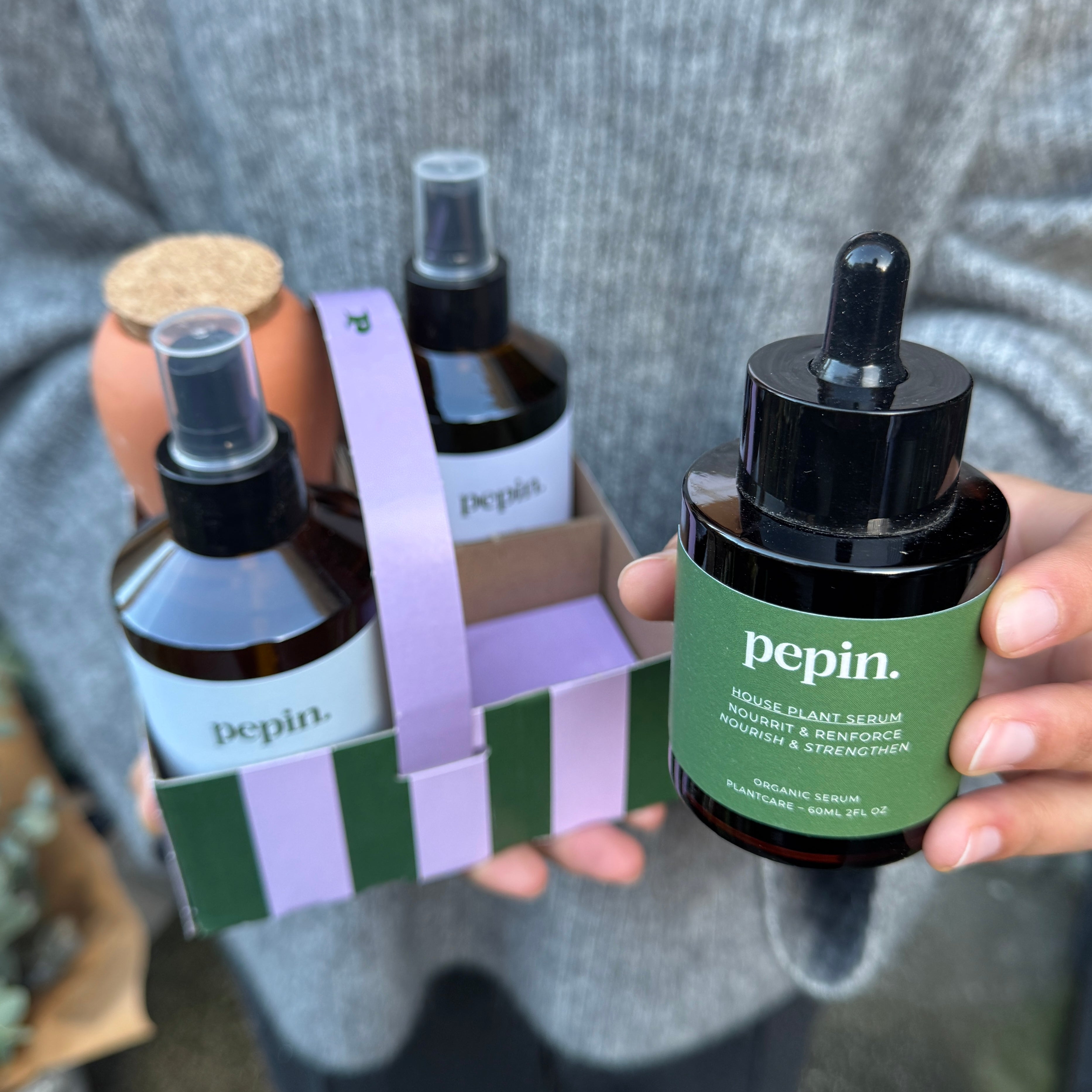 Pepin Plant Care Routine – Complete Indoor Plant Care Kit