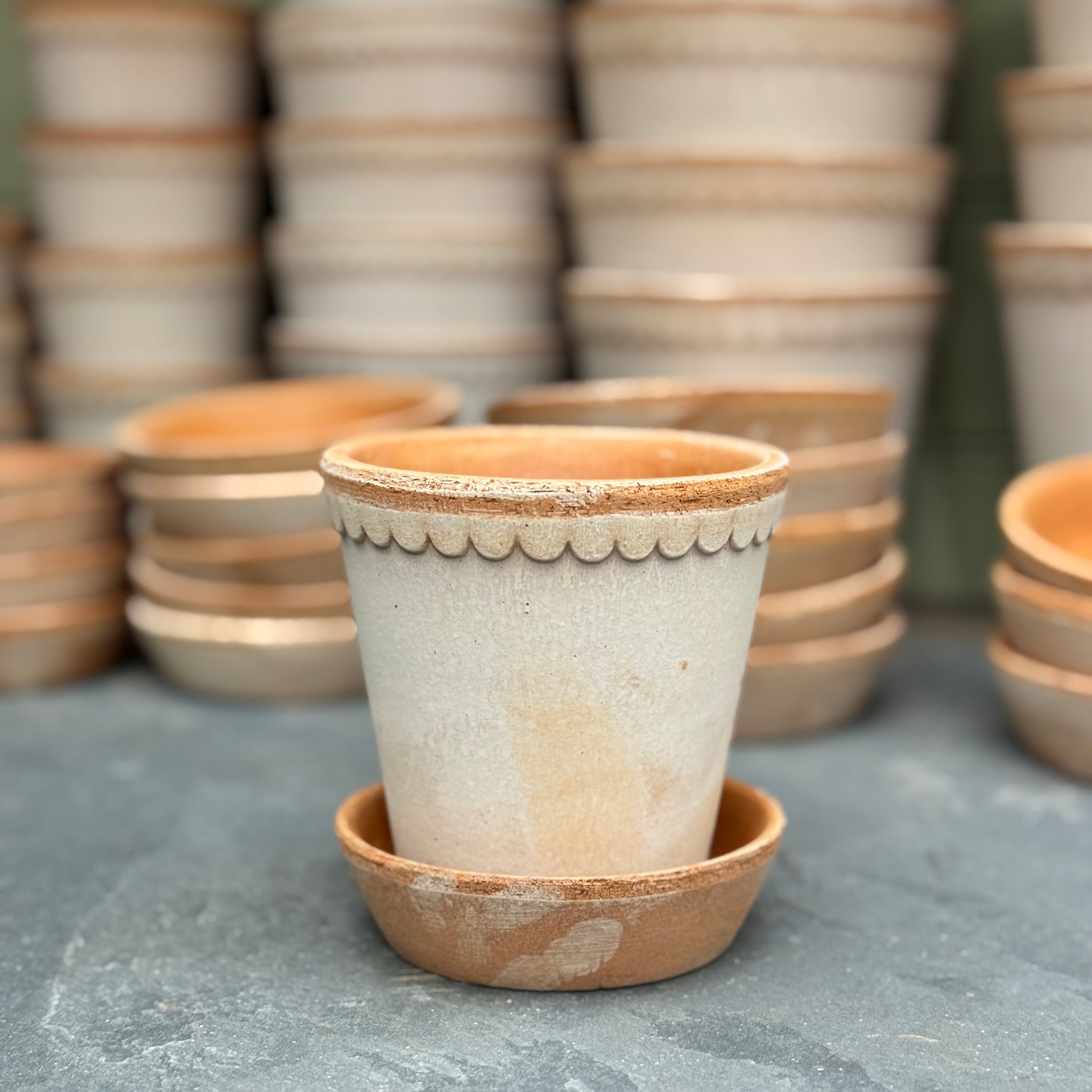 Bergs Potter Helena Pot & Saucer Set – Rosa Terracotta