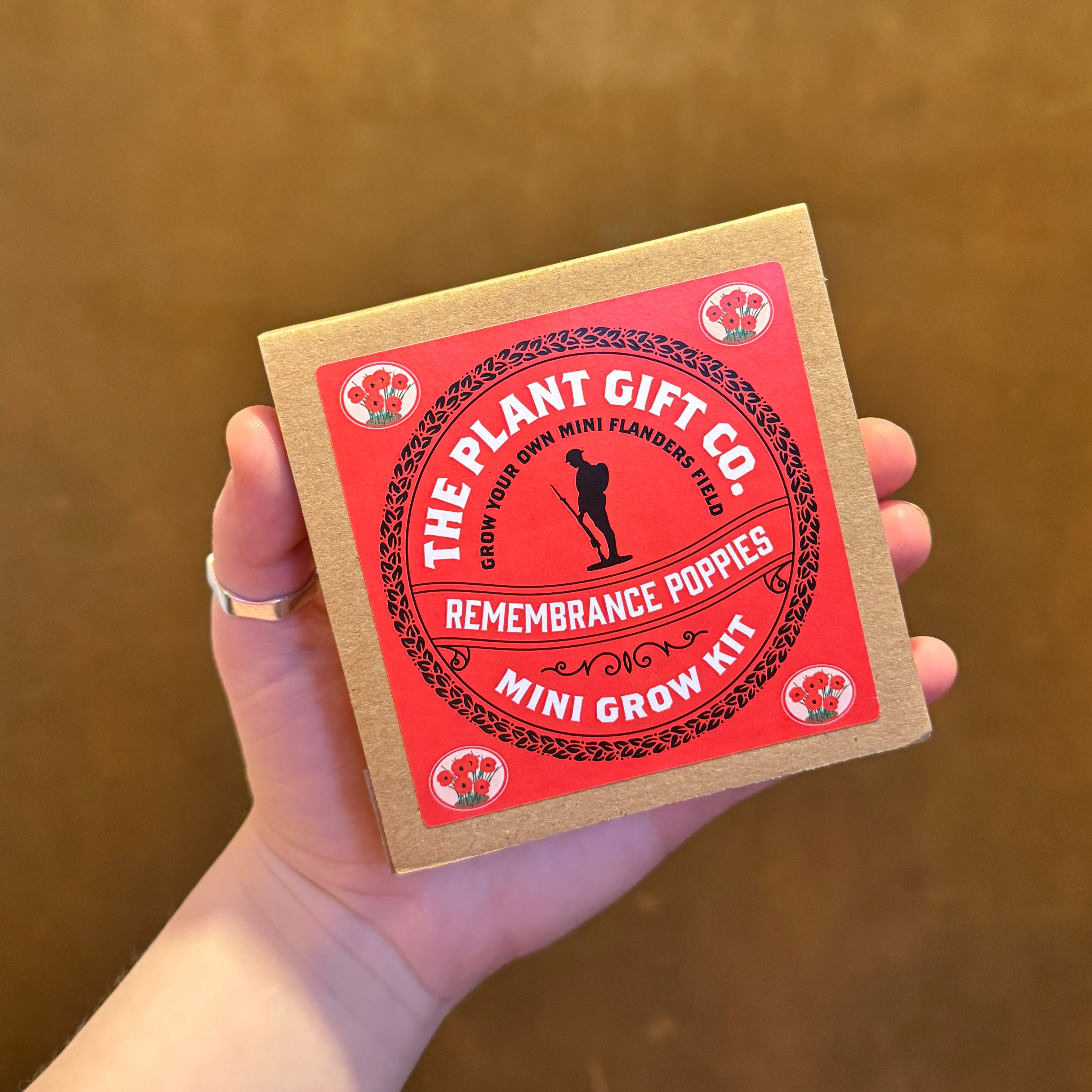 Mini Grow Kit – Easy Grow-From-Seed Gift | The Plant Gift Co.