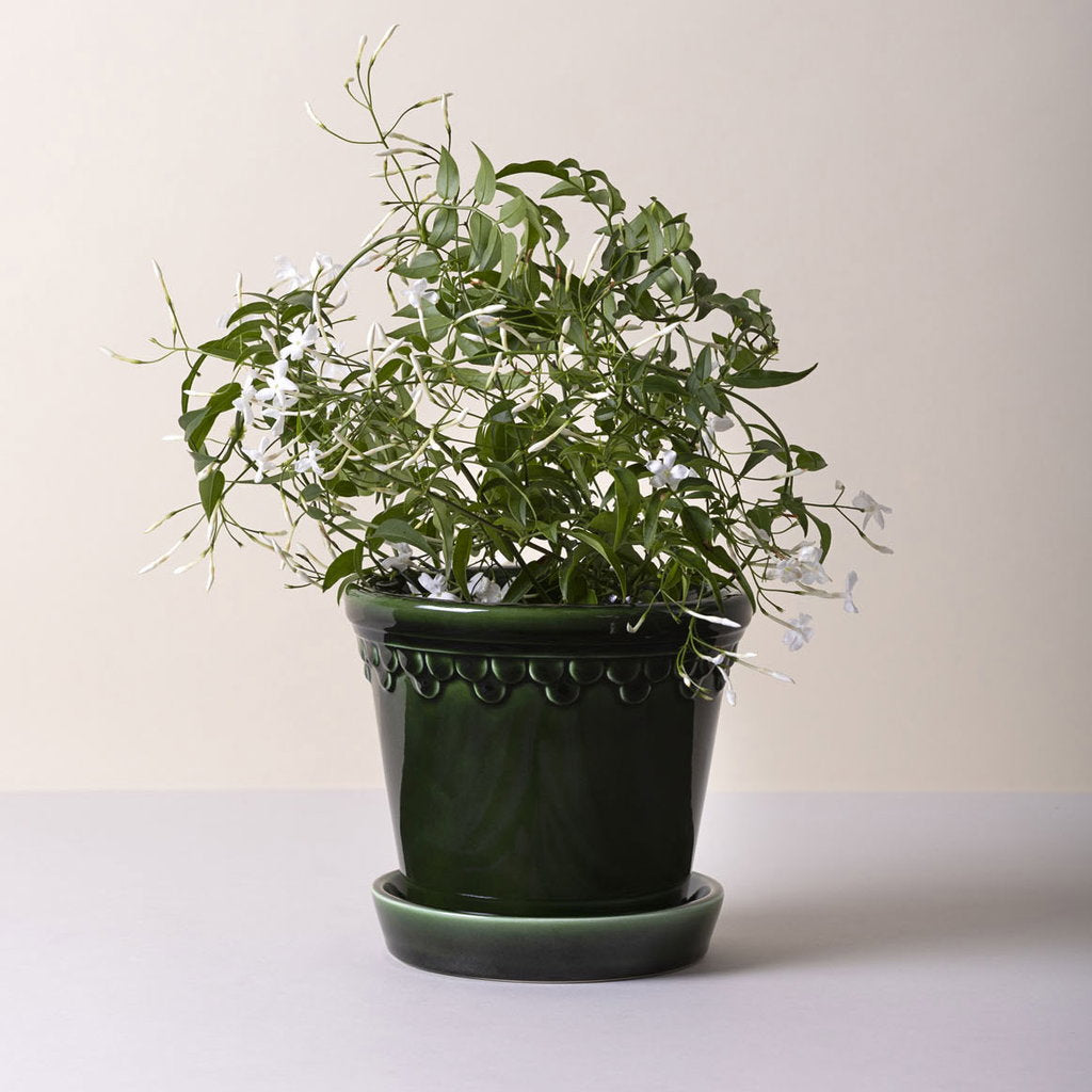 Bergs Potter Copenhagen Pot & Saucer – Emerald Green Glazed 14cm