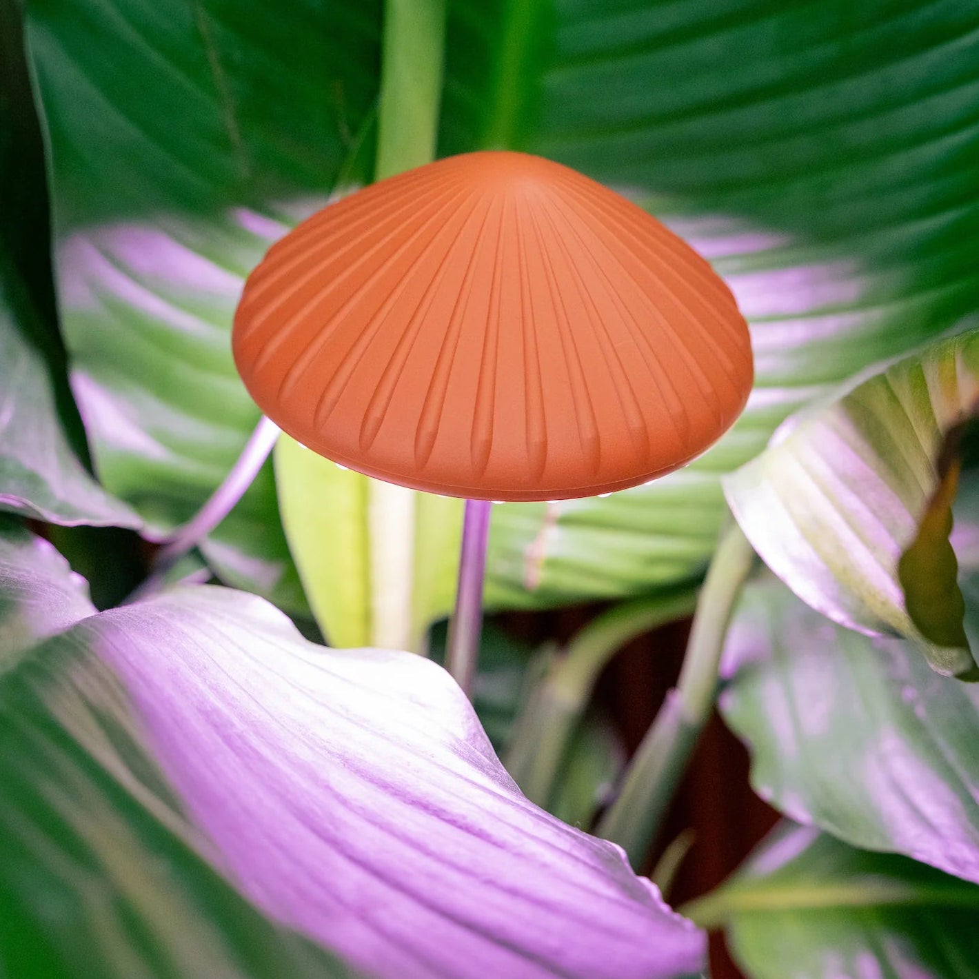Mushroom Grow Light with Adjustable Stake