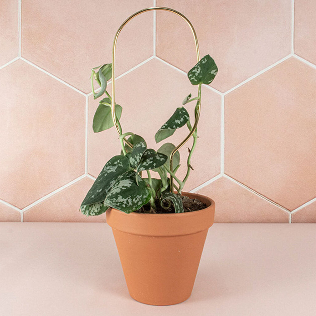 Mini Plant Stakes by Botanopia