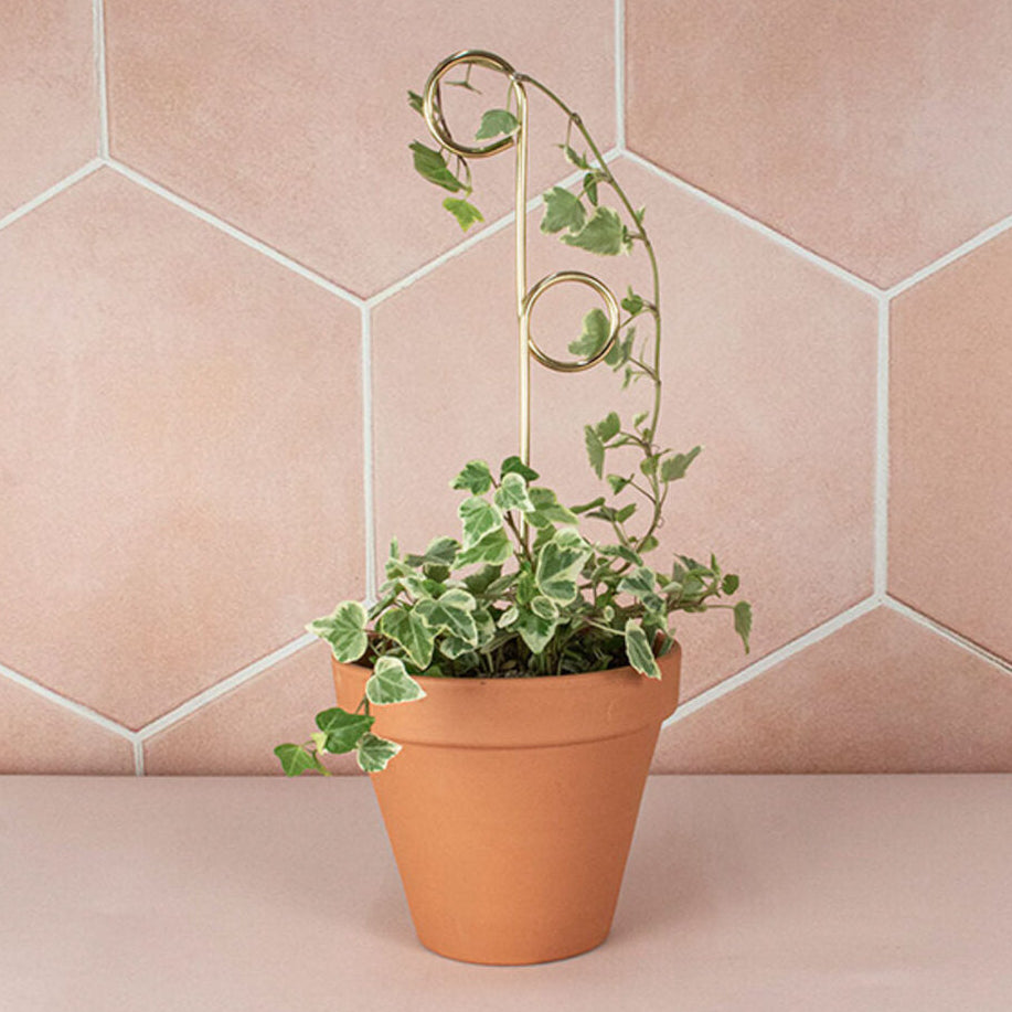 Mini Plant Stakes by Botanopia