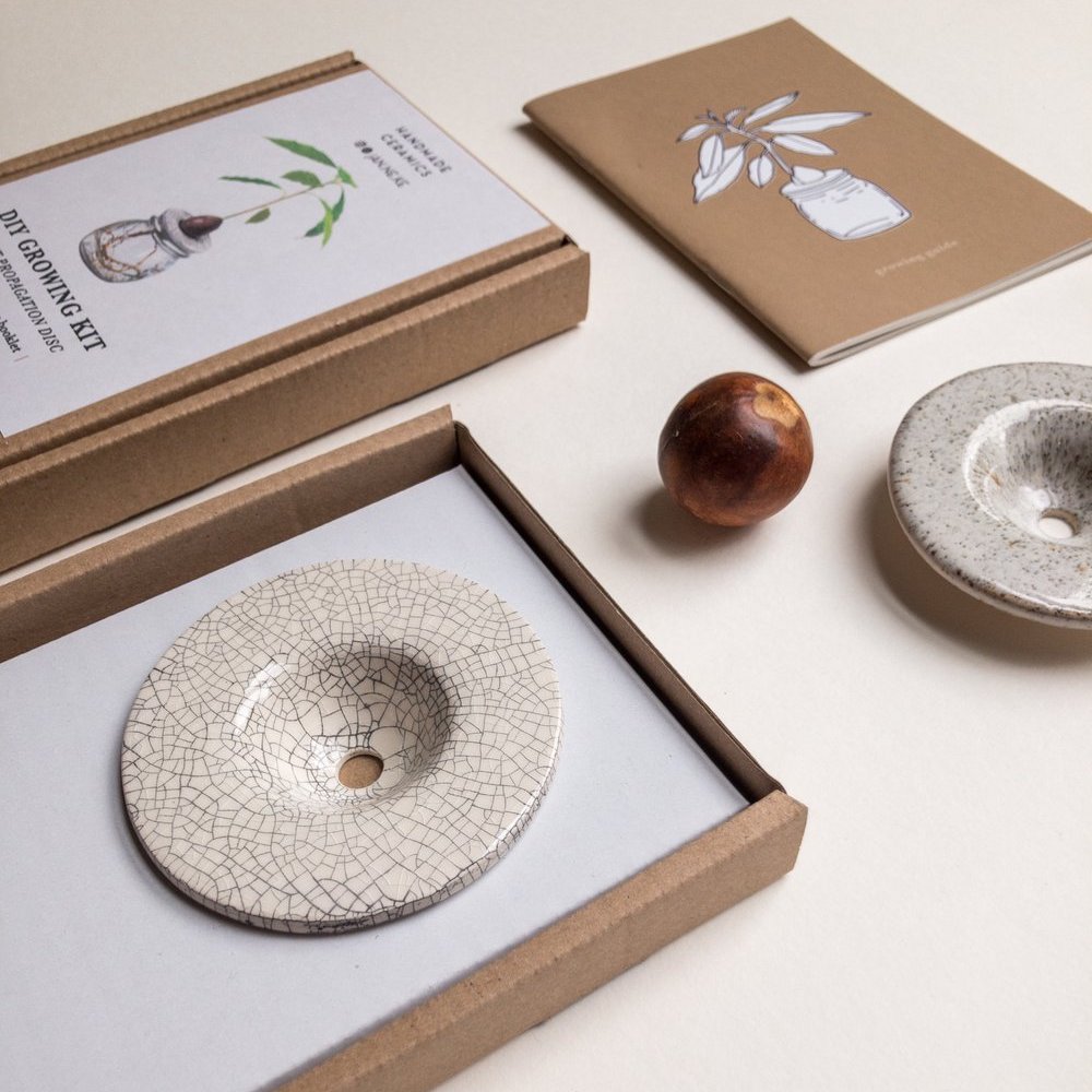 DIY Growing Kit - Grow Your Own Avocado Plant