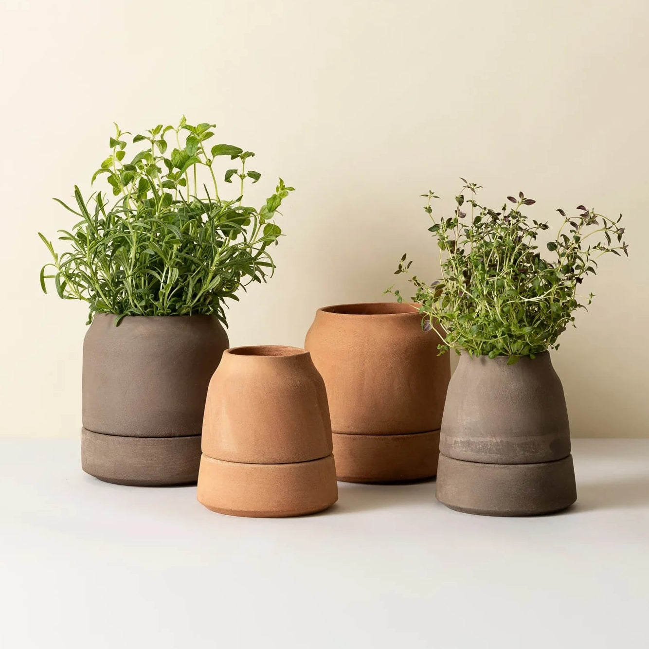 Collection of four Bergs Potter Viva self-watering terracotta pots in Rosa and Grey, available in 12cm and 14cm sizes