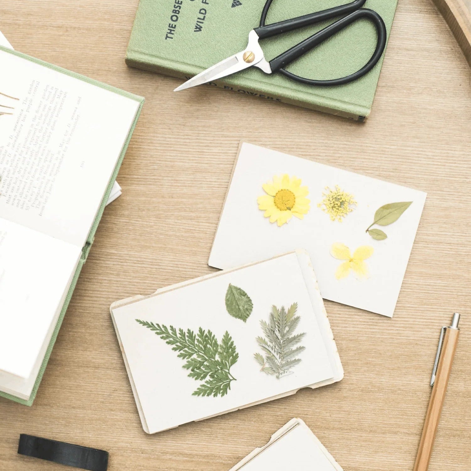 Pocket Flower Press – Forget Me Not | Studio Wald