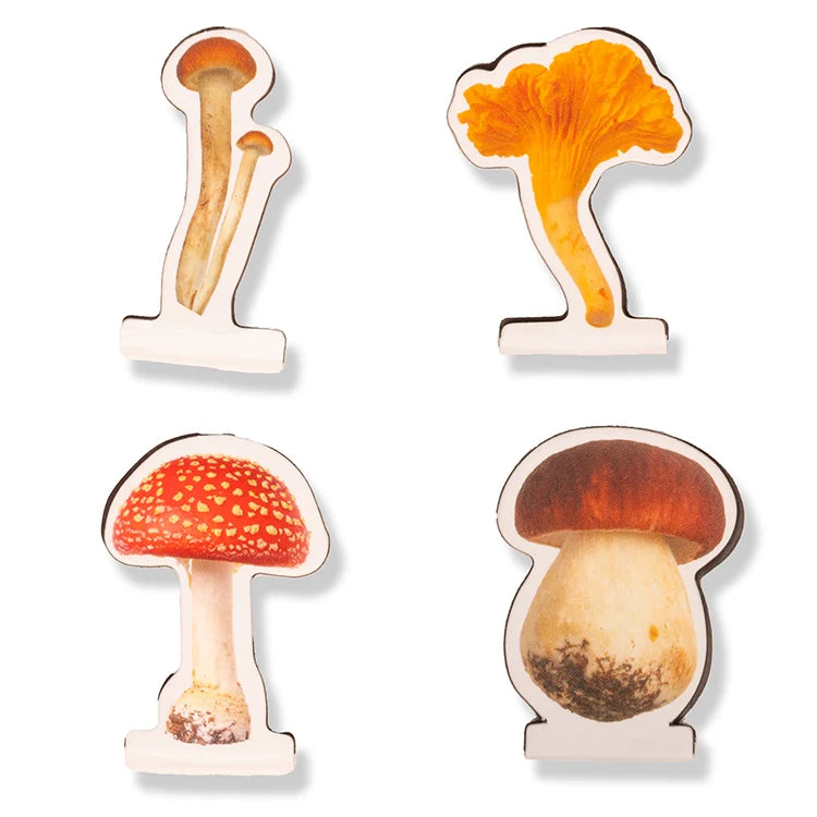 Mushroom Magnetic Bookmarks – Set of 4