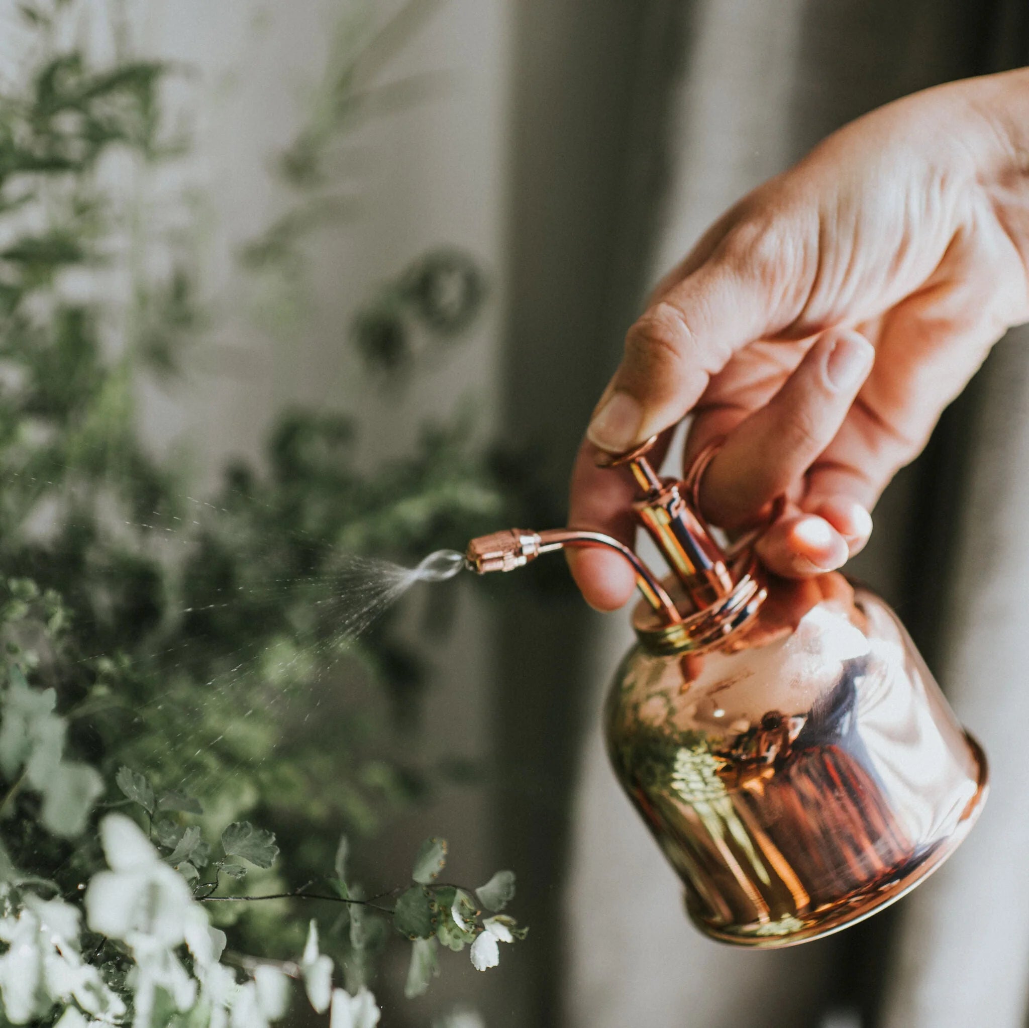 Haws | The Smethwick Spritzer | Metal Plant Mister