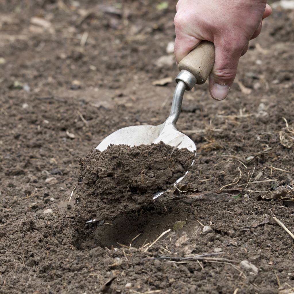 Old Dutch Planting Trowel | Sneeboer