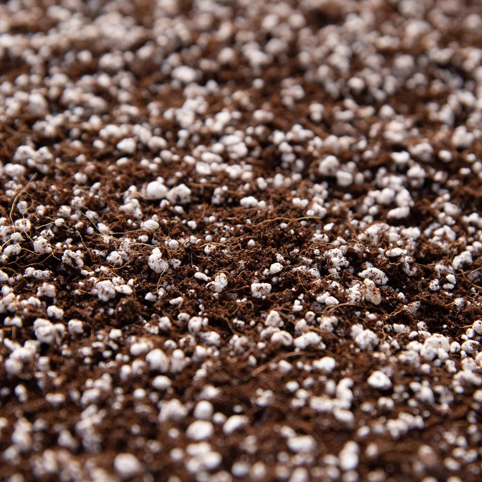 Soil Ninja Base Mix – Customisable Indoor Plant Compost