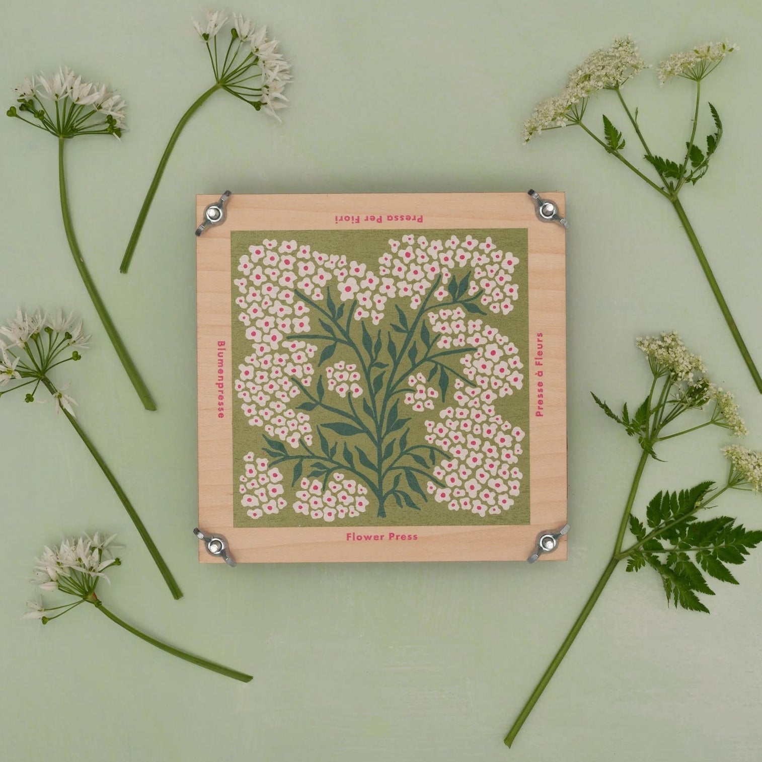 Flower Press – Forget Me Not | Studio Wald