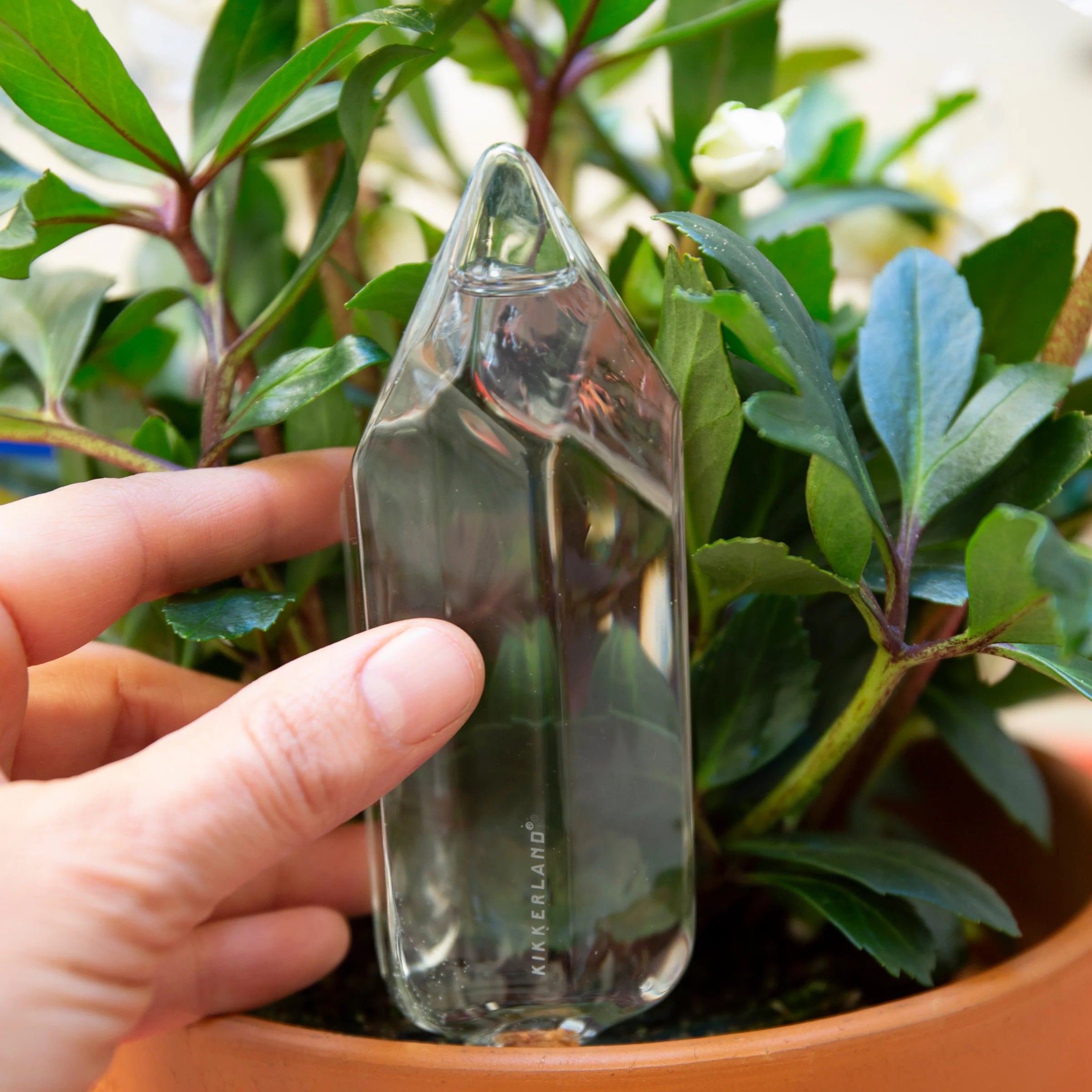 Water From a Crystal – Plant Watering Tool
