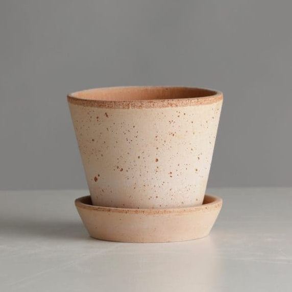 A small speckled ceramic planter pot with a matching saucer, shown on a light gray surface against a neutral gray background.