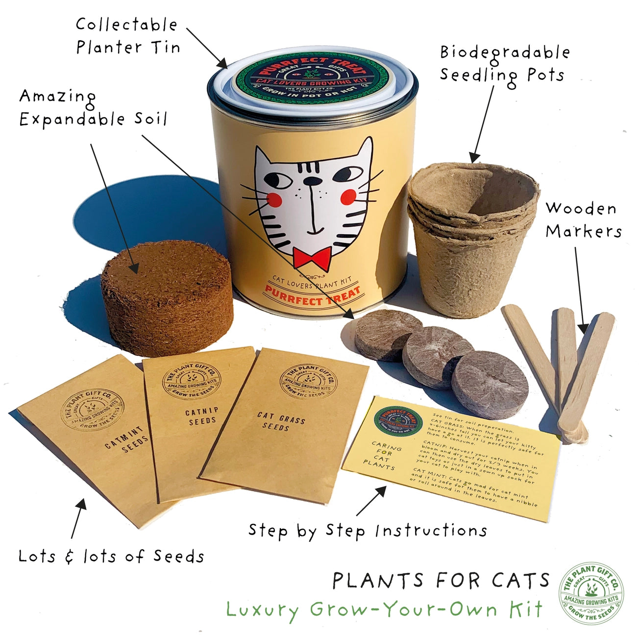 Purrfect Treat | Grow Your Own Cat Plants Kit