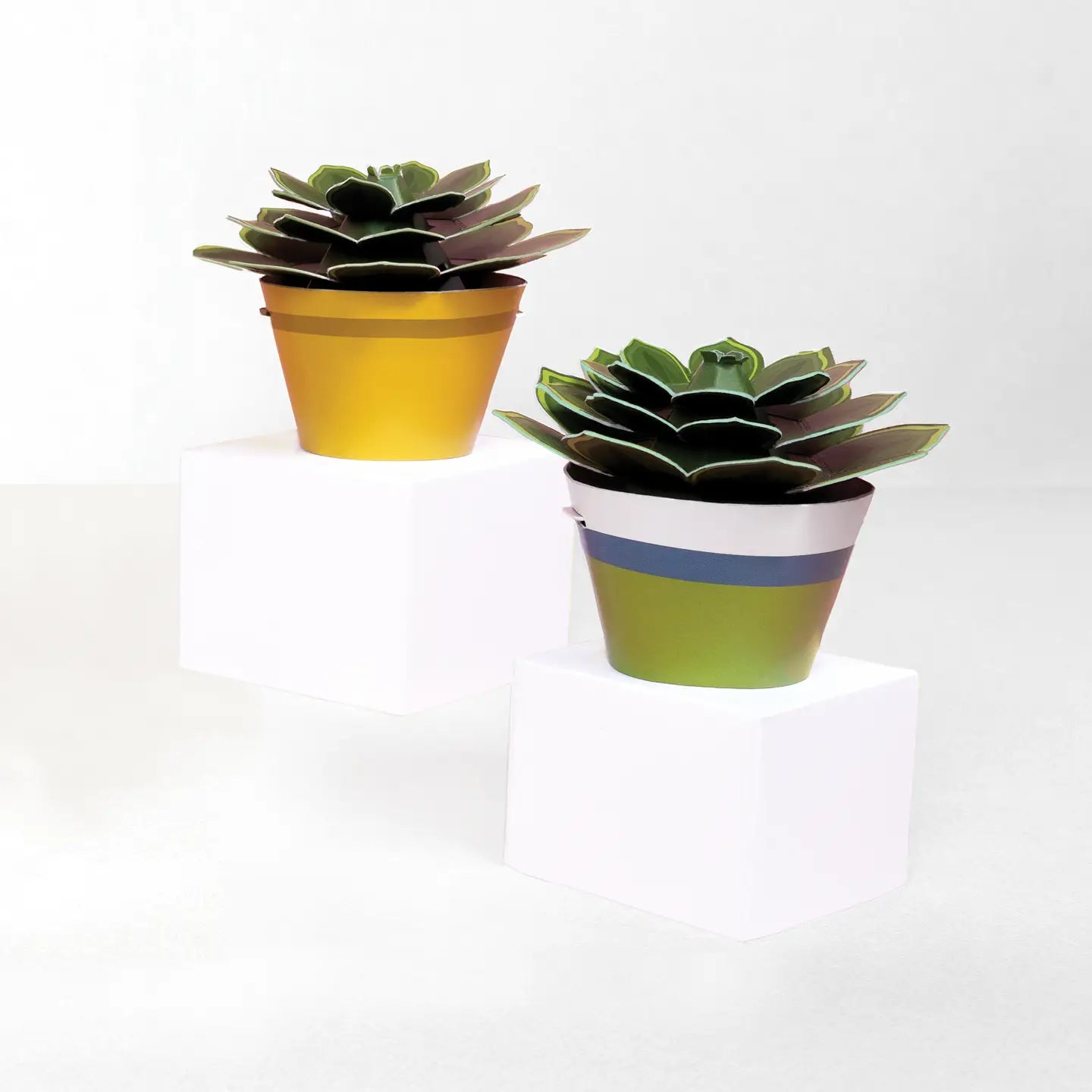 Make Your Own Soothing Succulent Paper Plant Kit
