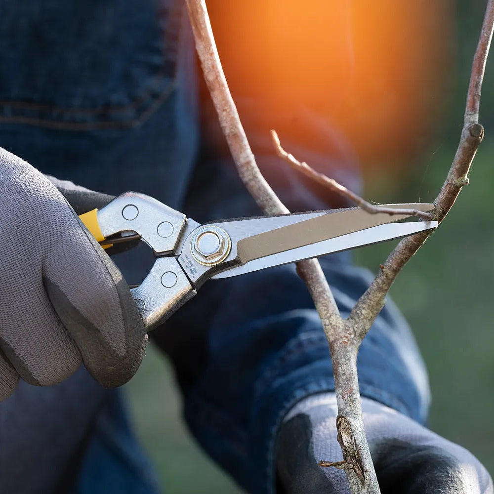 Niwaki Daikiba Snips with Canvas Holster