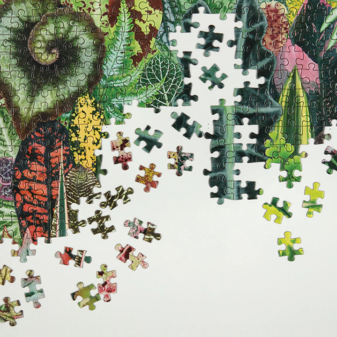 Houseplant Jungle Jigsaw Puzzle | 1000 Piece