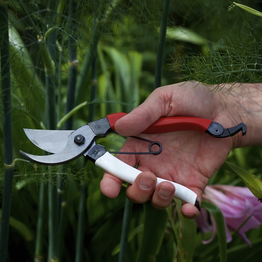 Okatsune Secateurs (Small No.101)