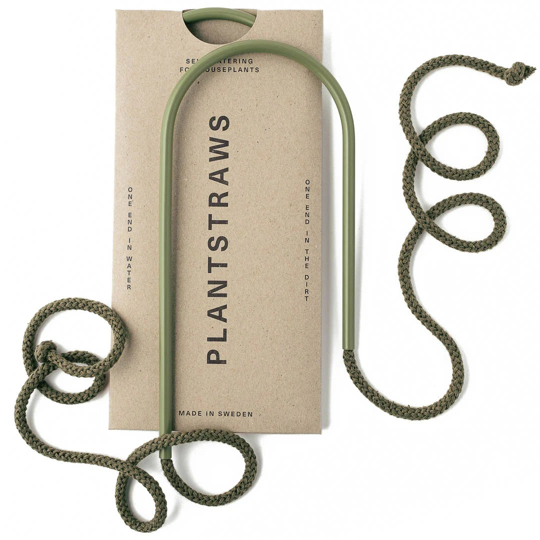 Plantstraws