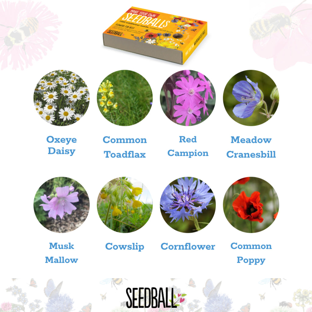 Make Your Own Seedball Kit – Flowers for Bees