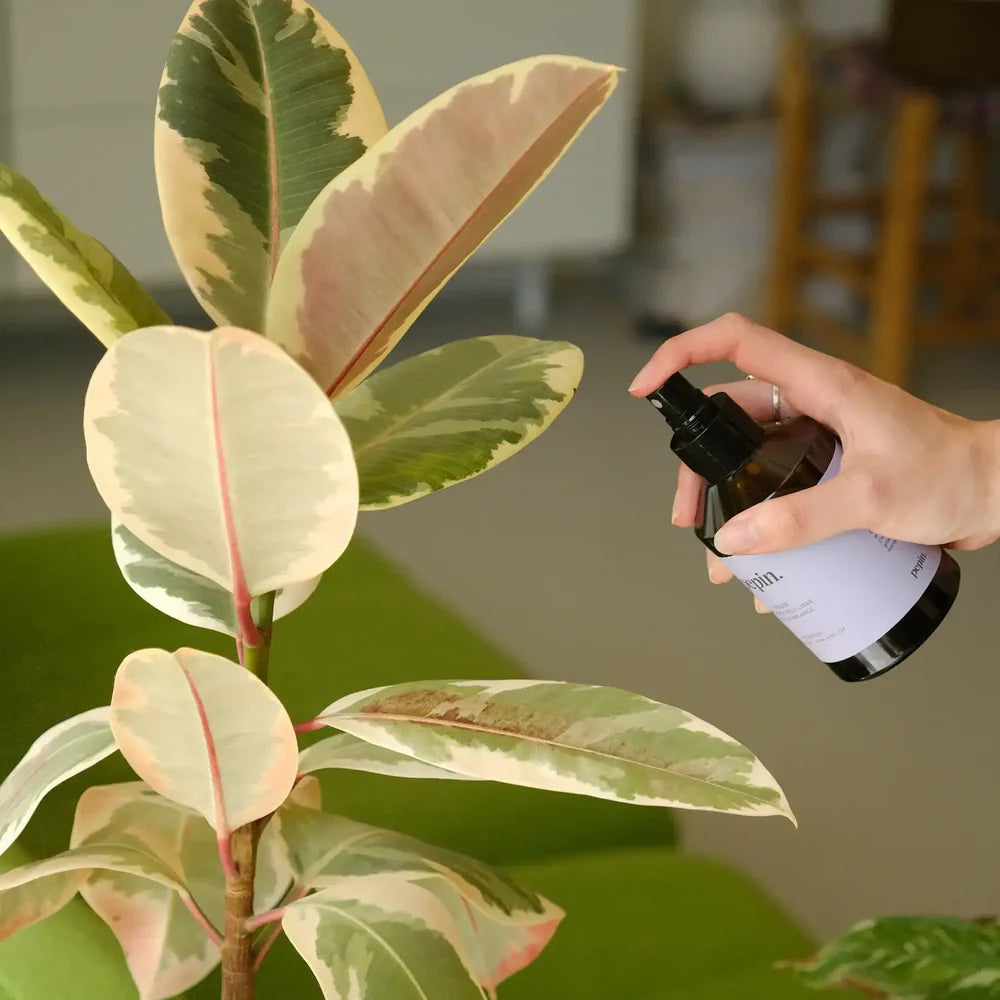 Pepin Toner - Protective Plant Spray (200ml)