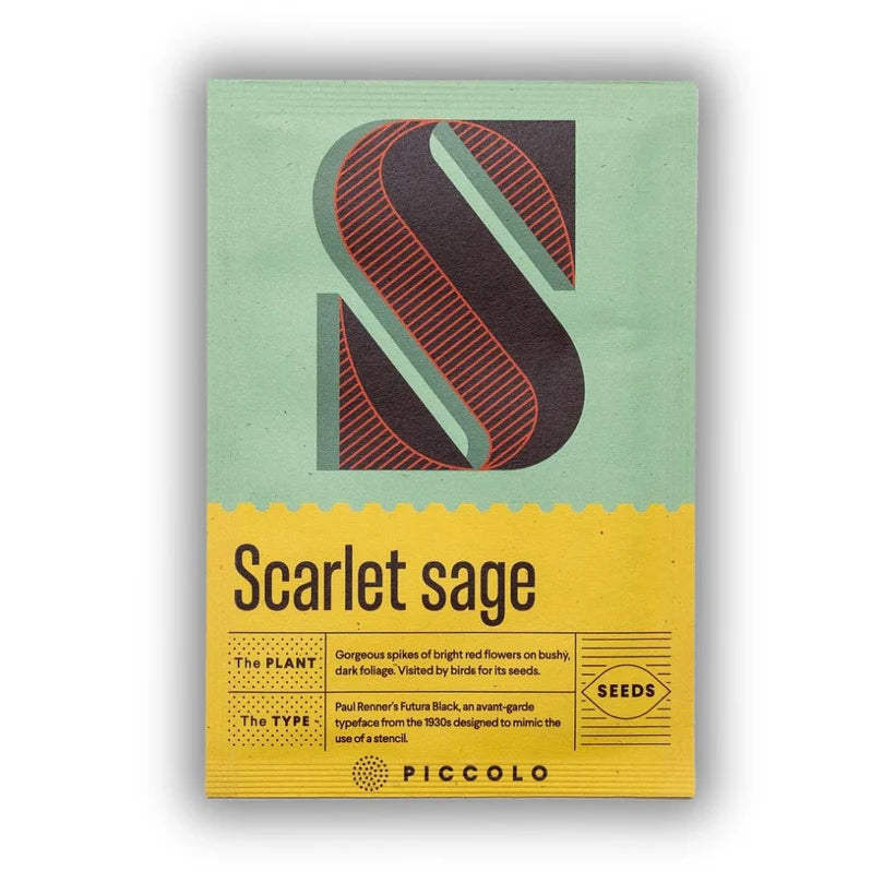 A to Z Botanical Alphabet Seed Packets