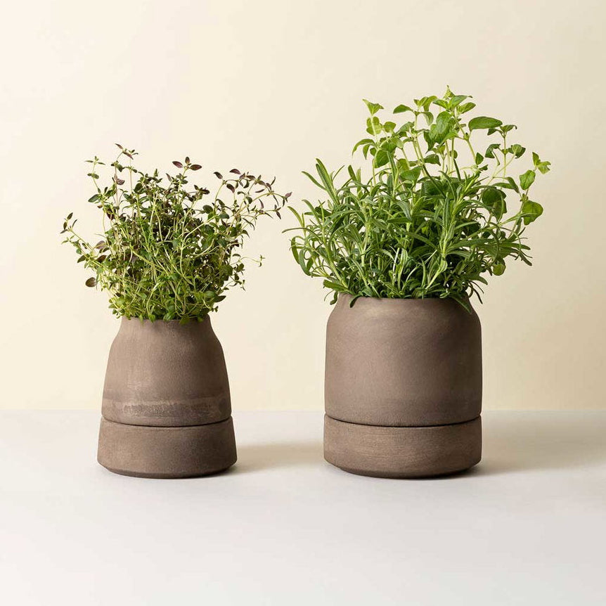 Bergs Potter Viva Self-Watering Pot