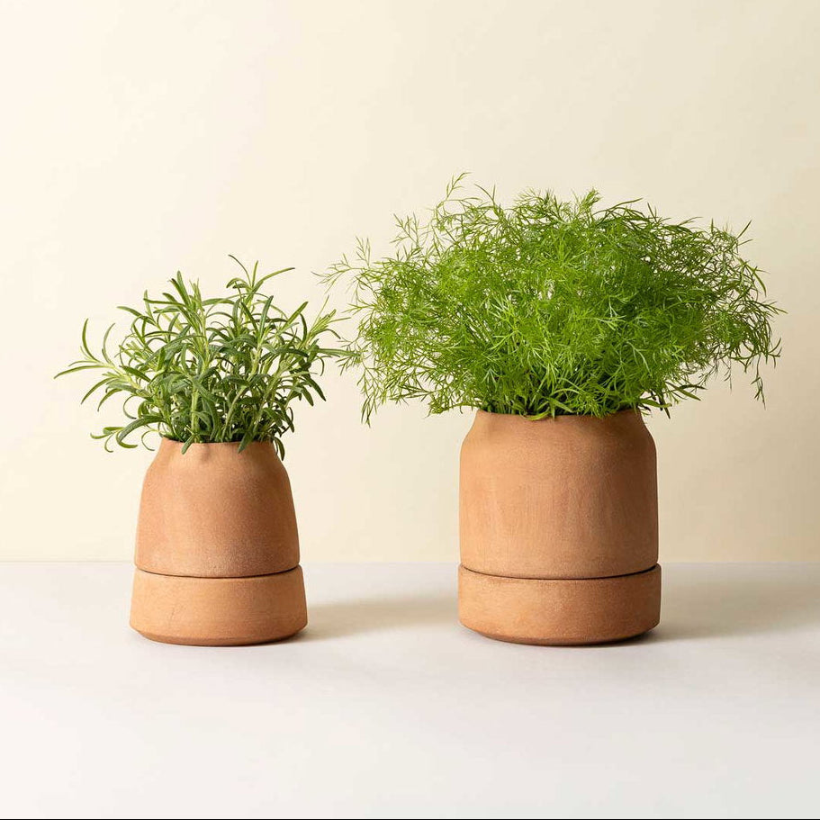 Bergs Potter Viva Self-Watering Pot