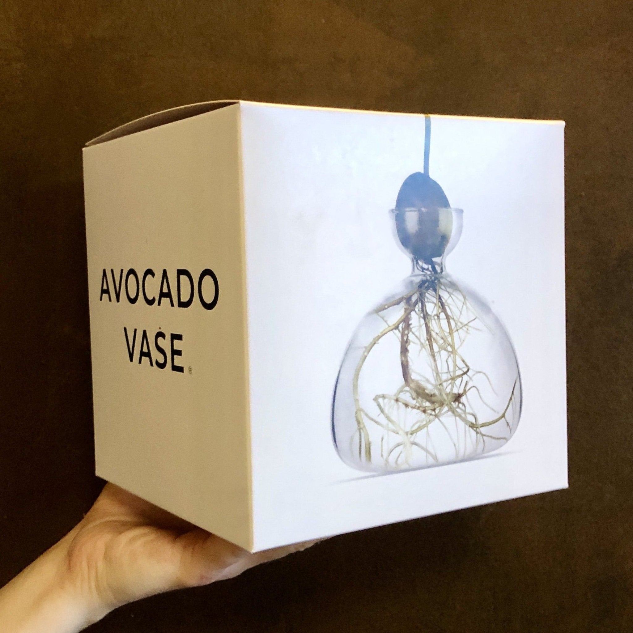 Avocado Vase - grow urban. UK