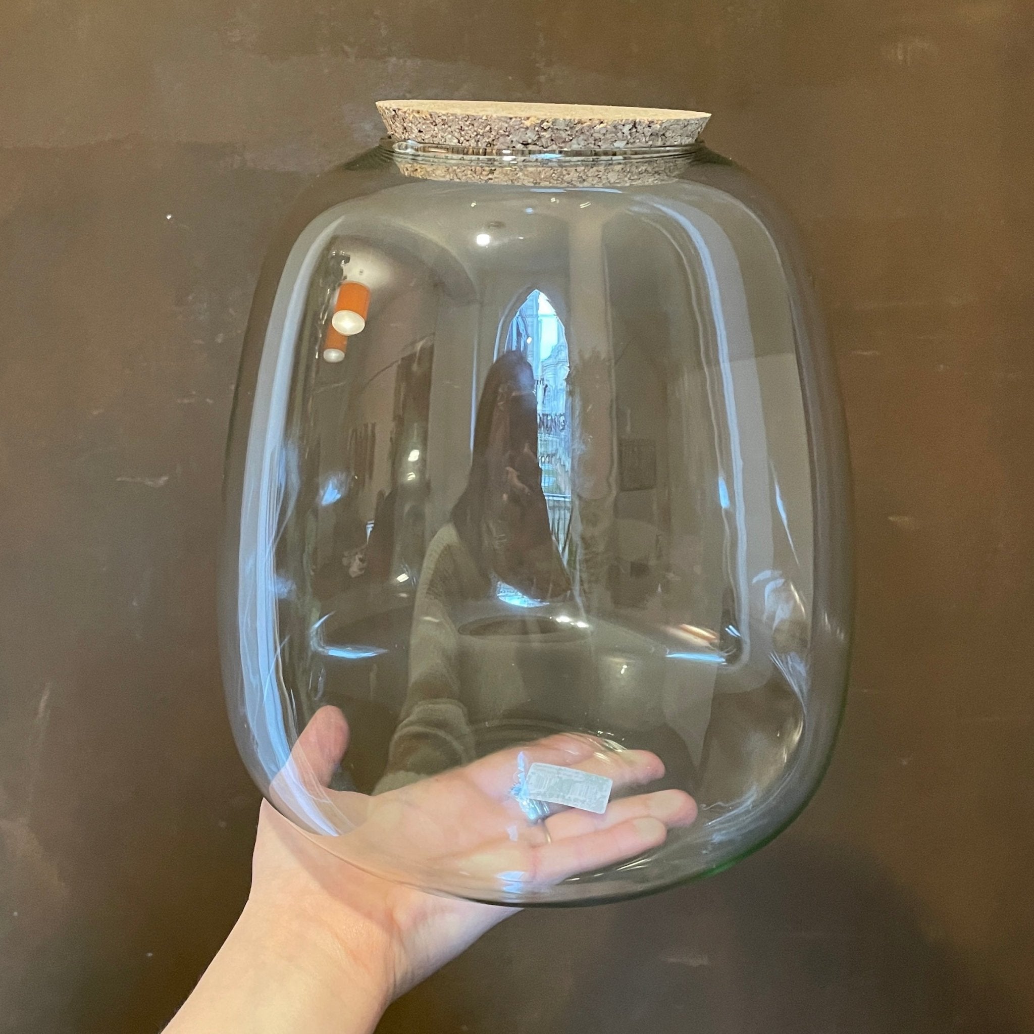 Balle Terrarium Vessel - grow urban. UK
