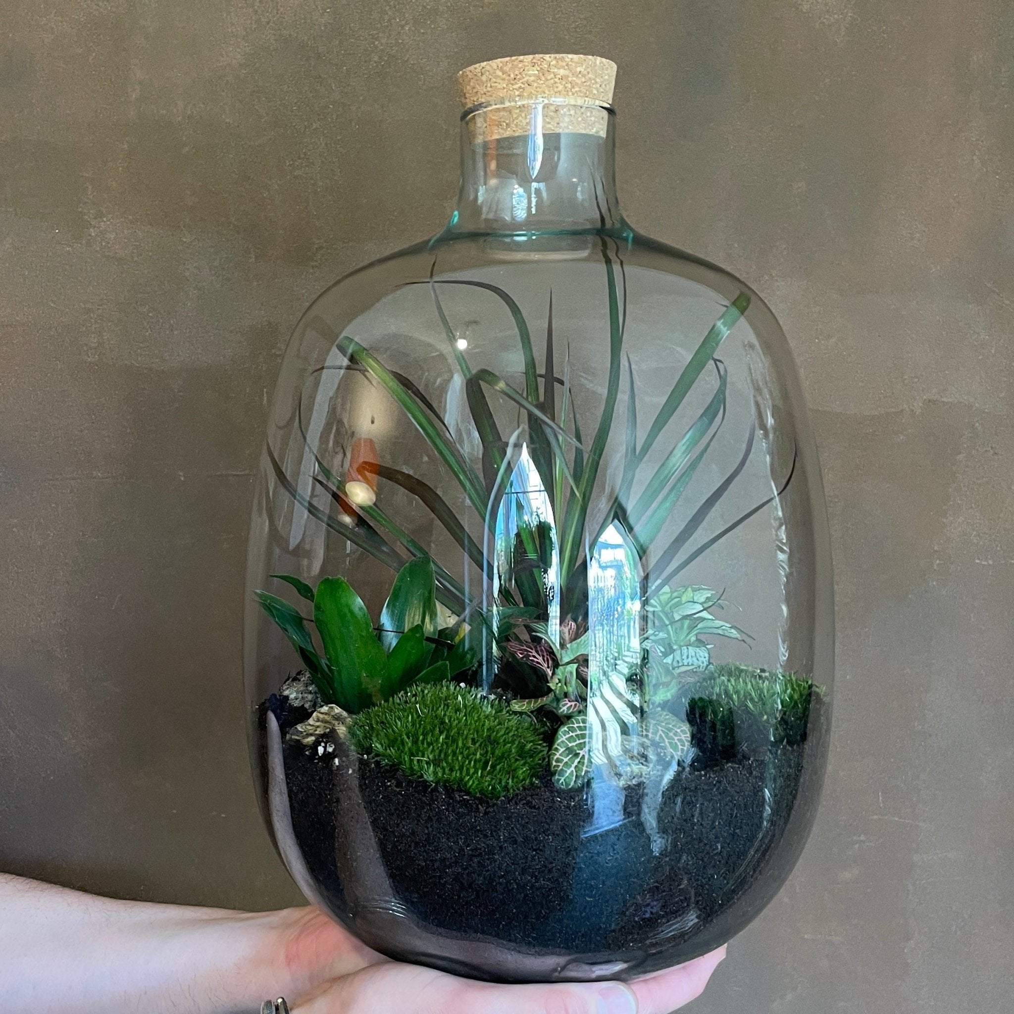 Big Boy Terrarium - grow urban. UK