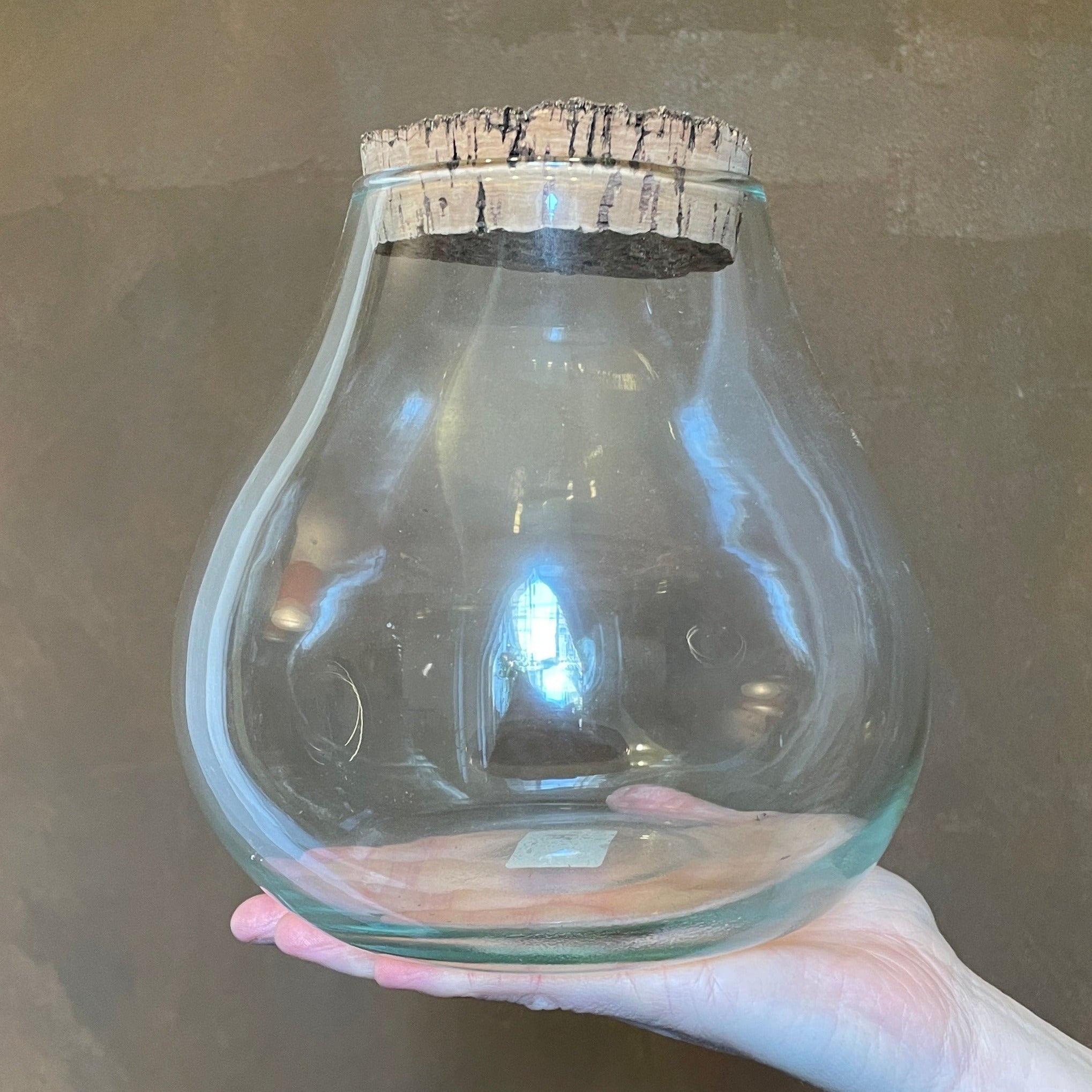 Terrarium Vessel - Bulb - grow urban. UK