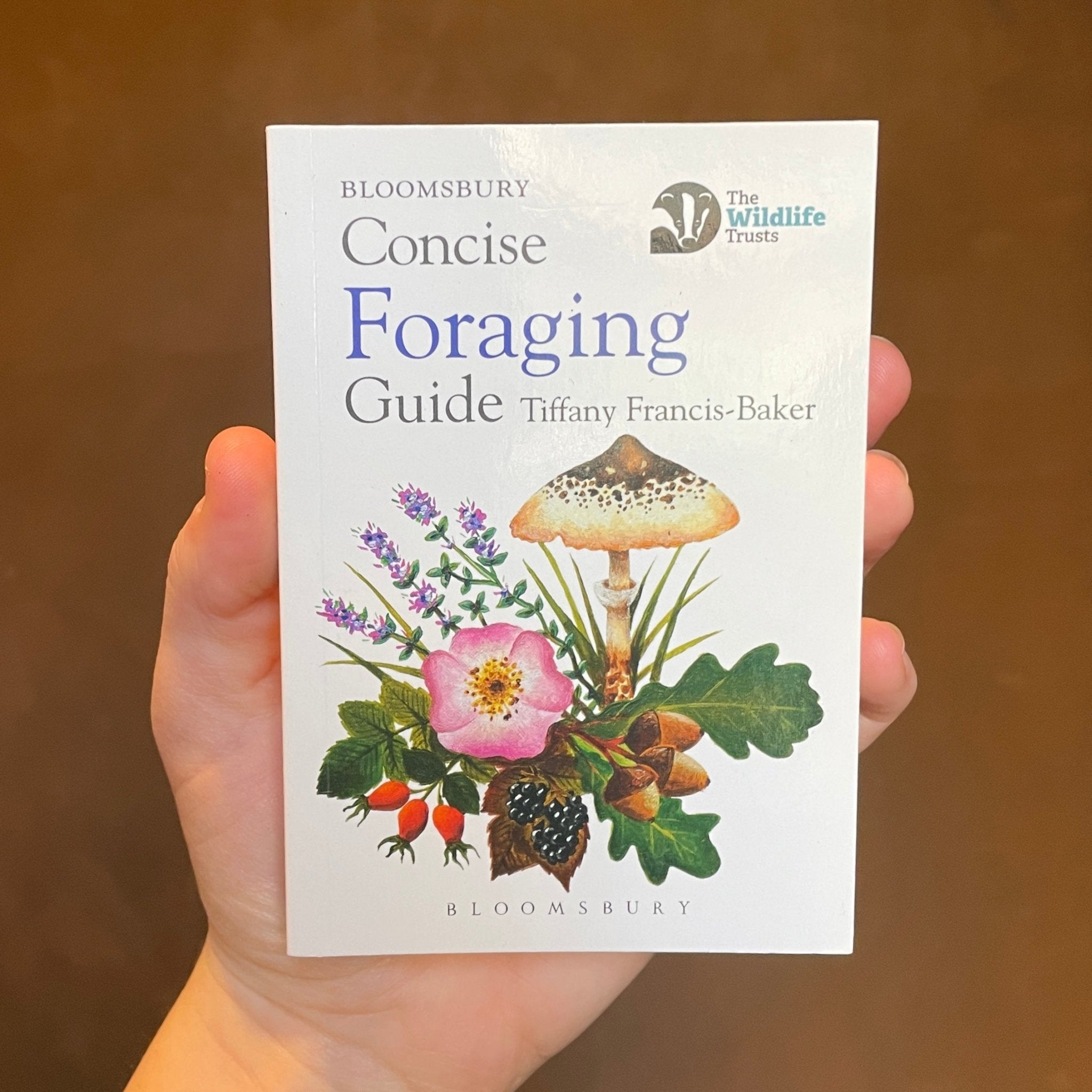 Concise Foraging Guide - grow urban. UK