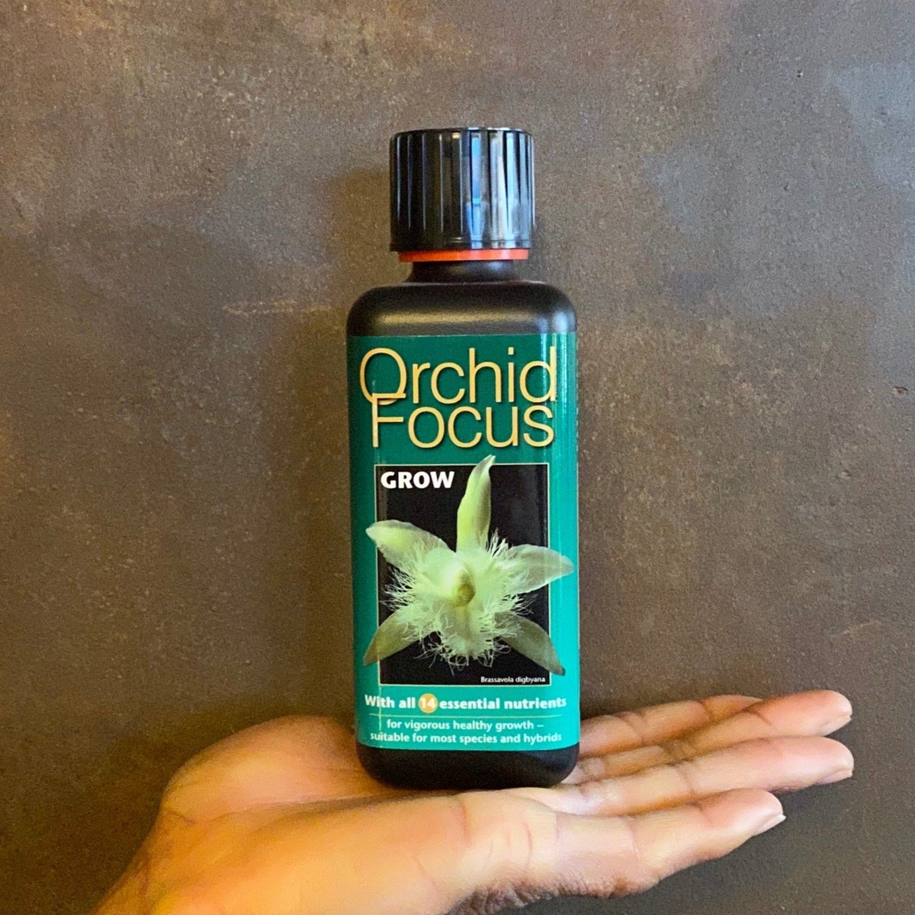 Focus Plant Feeds - grow urban. UK