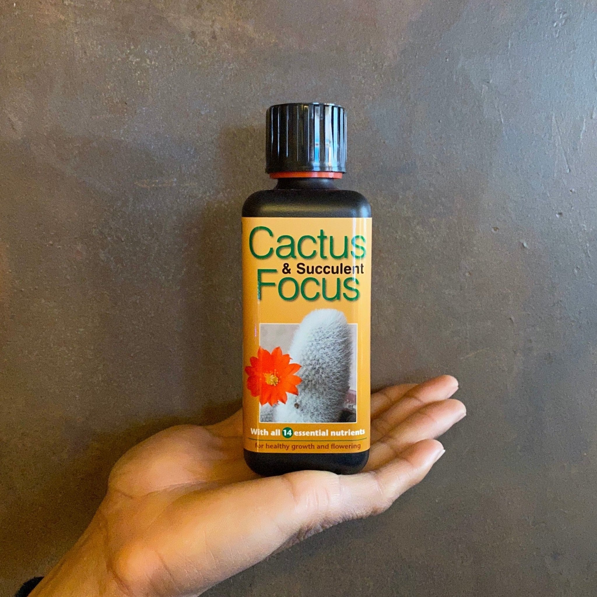 Focus Plant Feeds - grow urban. UK