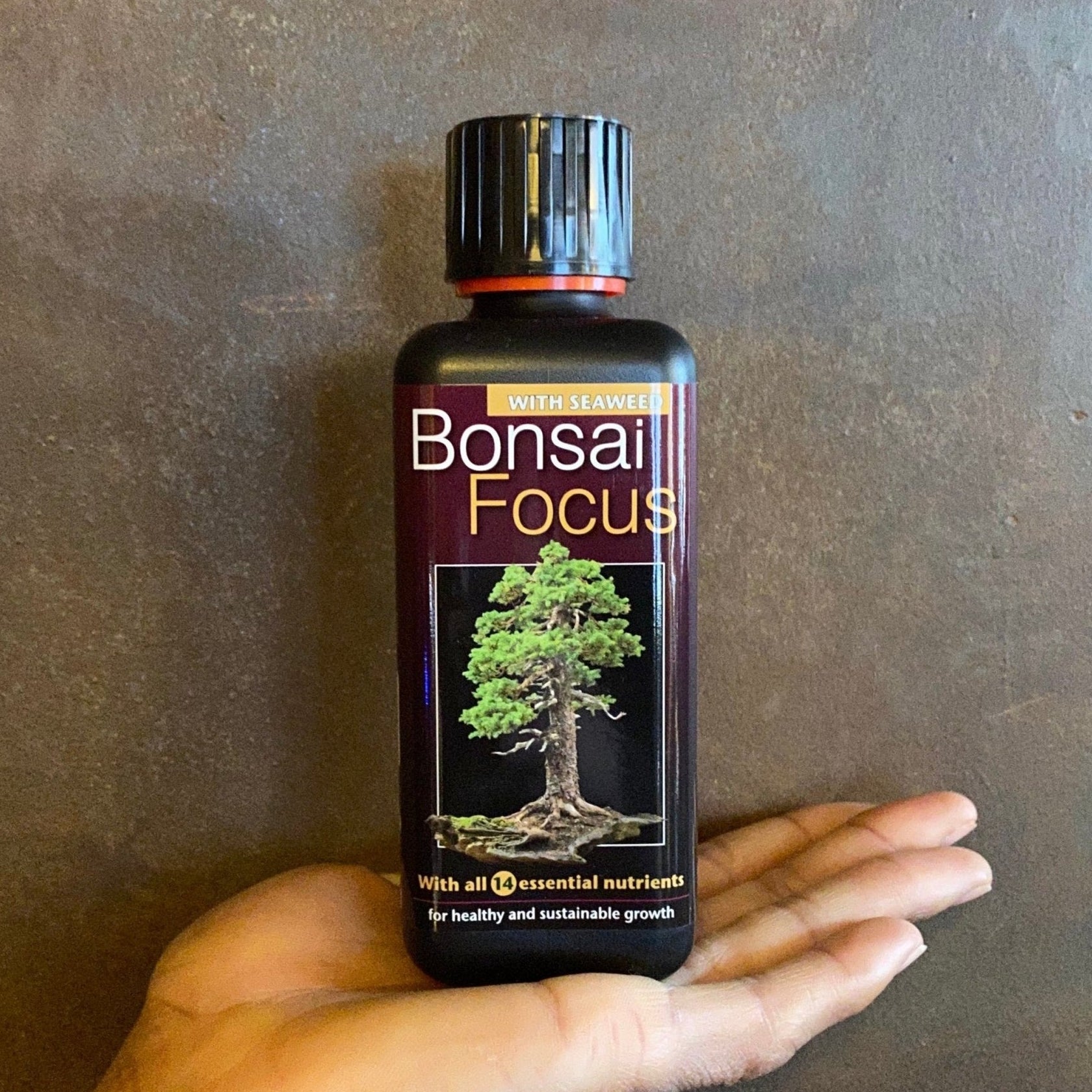 Focus Plant Feeds - grow urban. UK