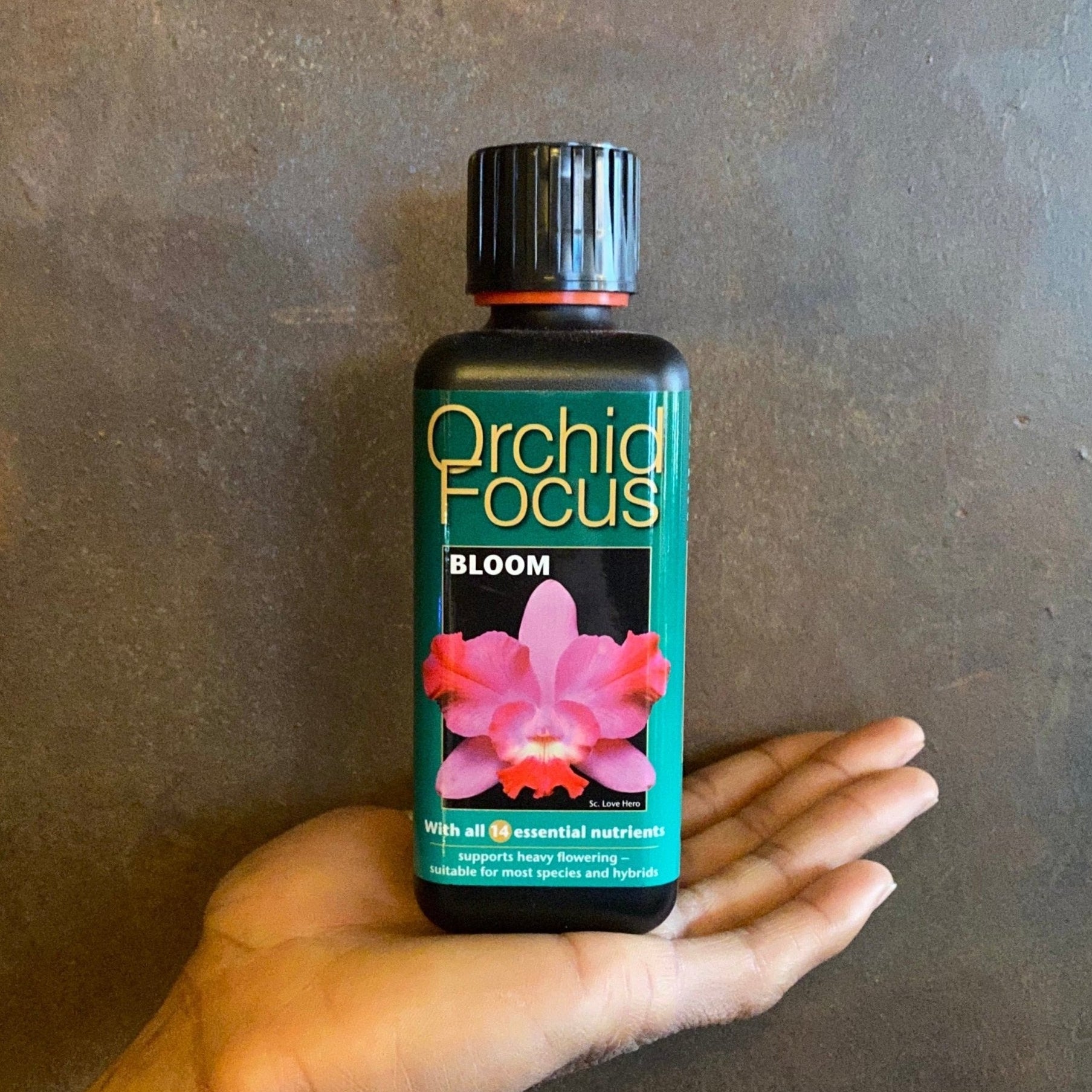 Focus Plant Feeds - grow urban. UK