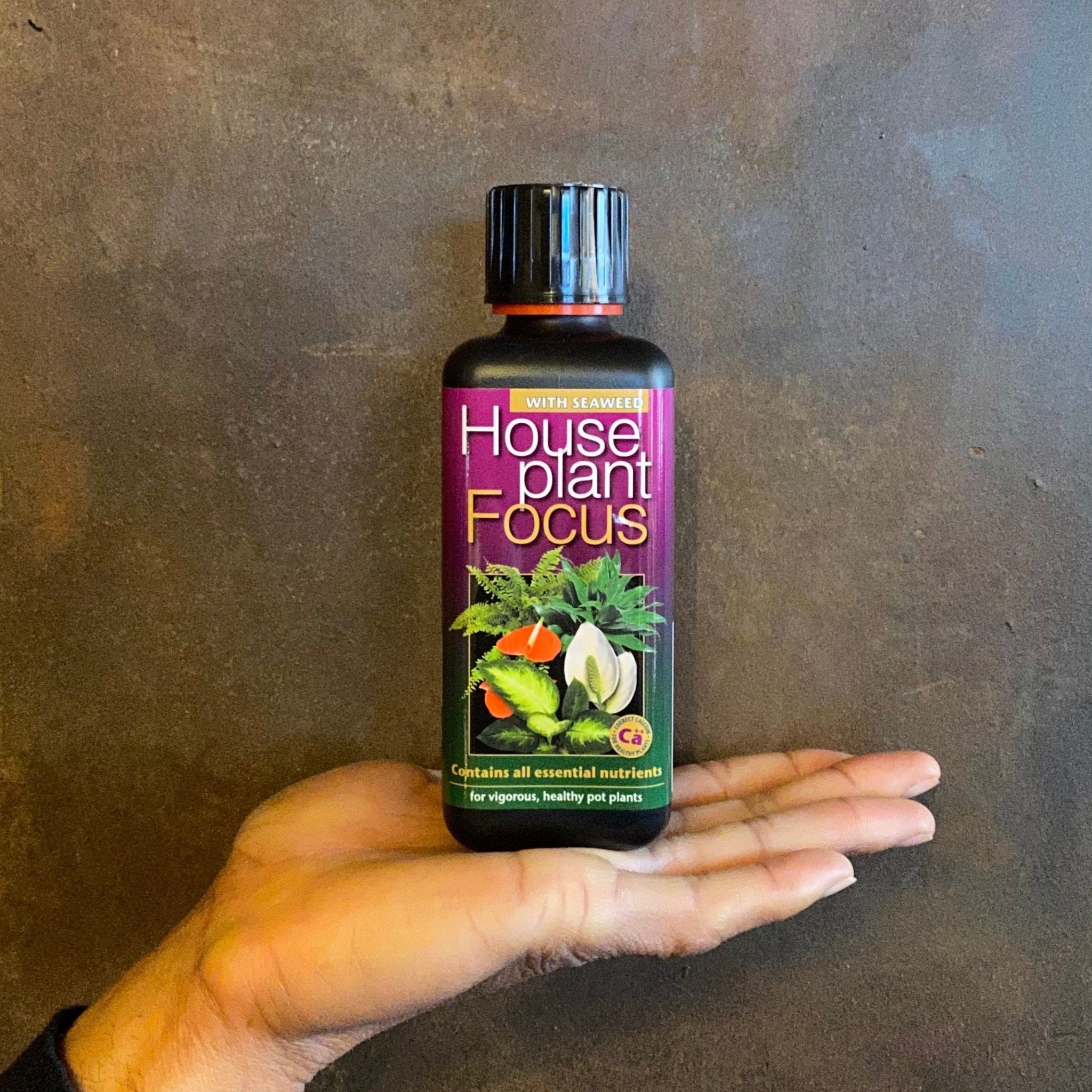 Focus Plant Feeds - grow urban. UK