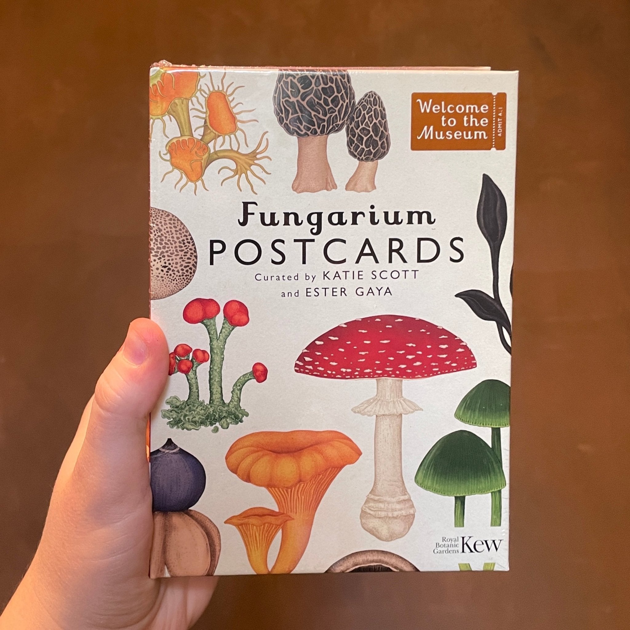 Fungarium Box of 50 Postcards - grow urban. UK