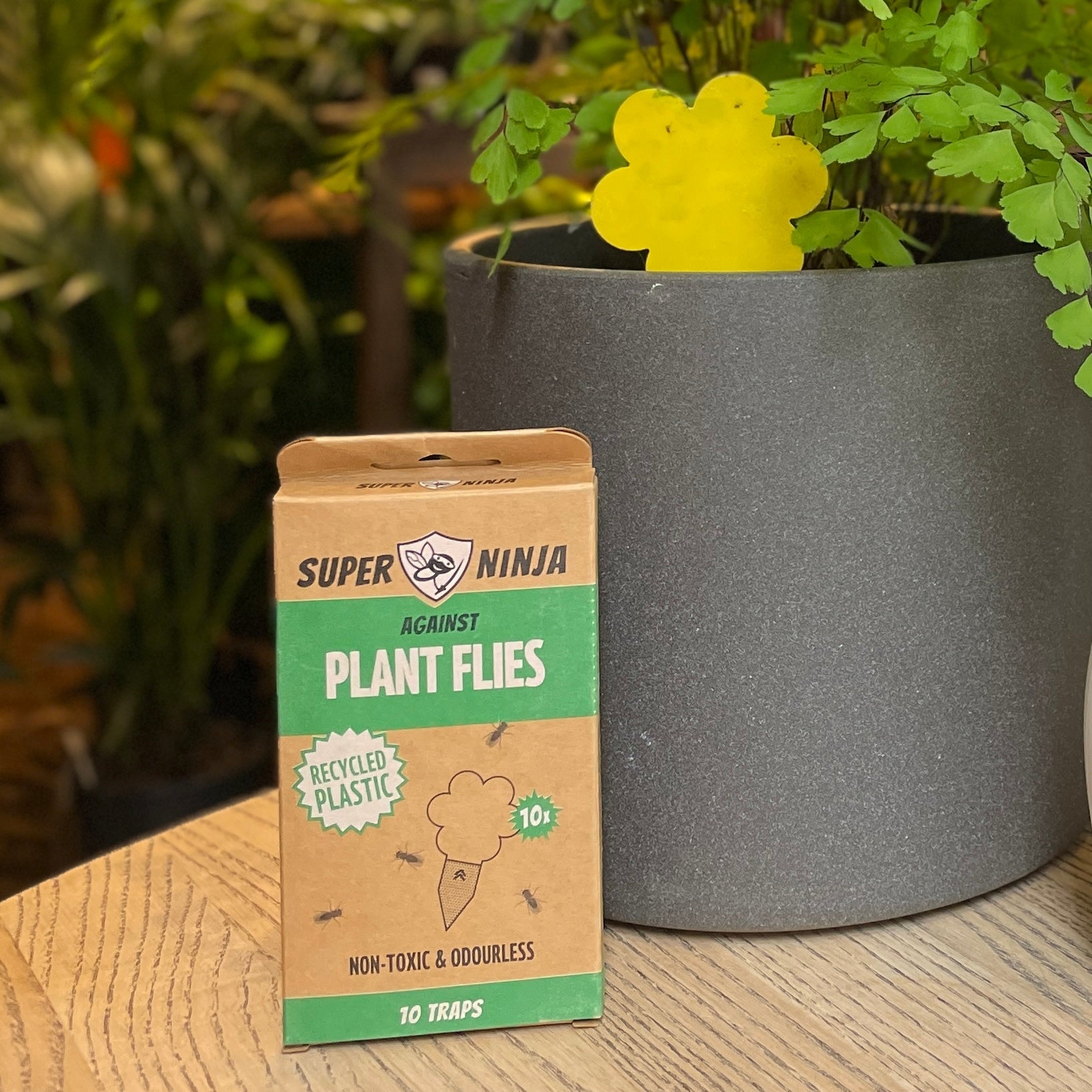 Fungus Gnat & Whitefly Traps | Super Ninja (10 pack) - grow urban. UK