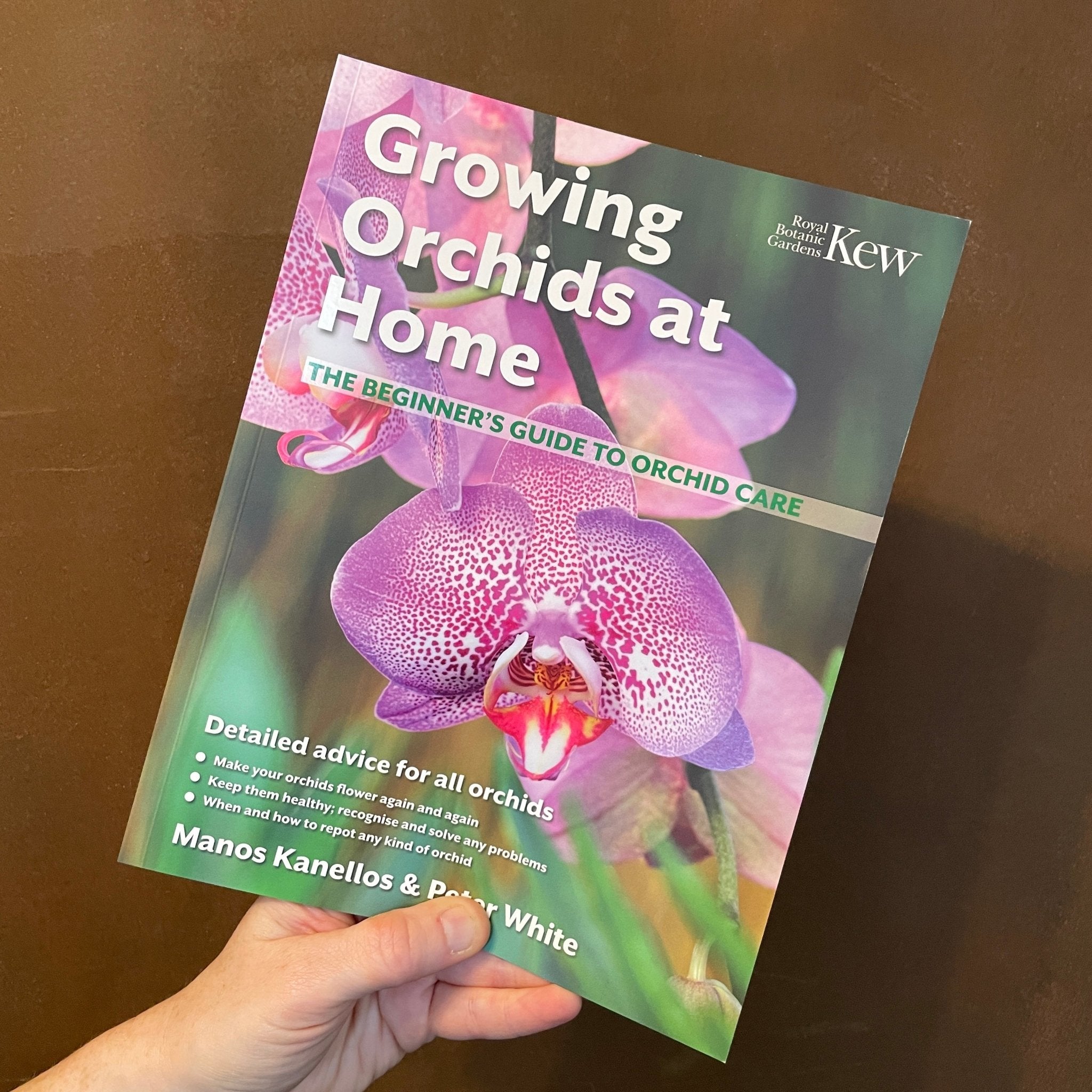 Growing Orchids at Home: The Beginner's Guide - grow urban. UK