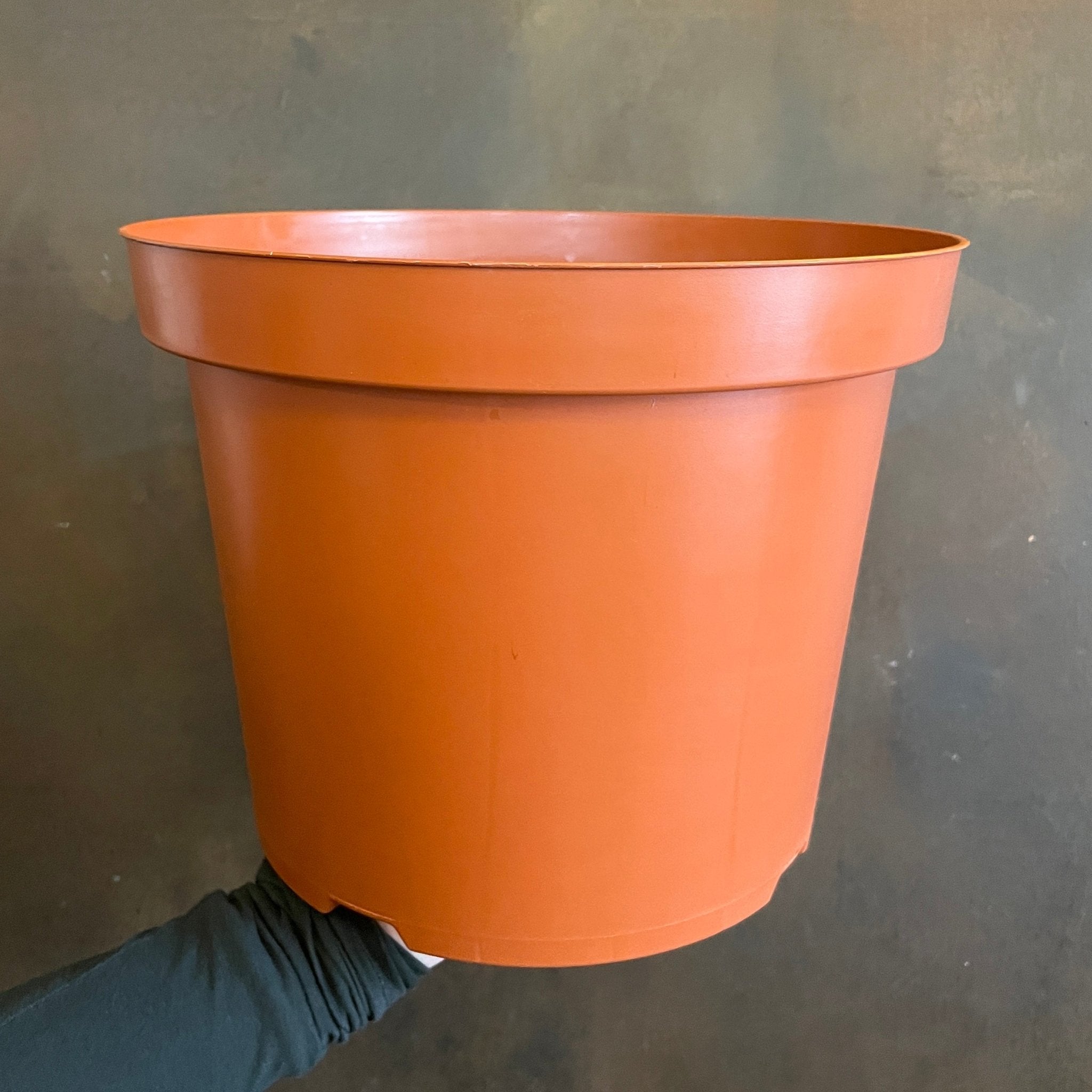 Growing Pot - Individual - grow urban. UK