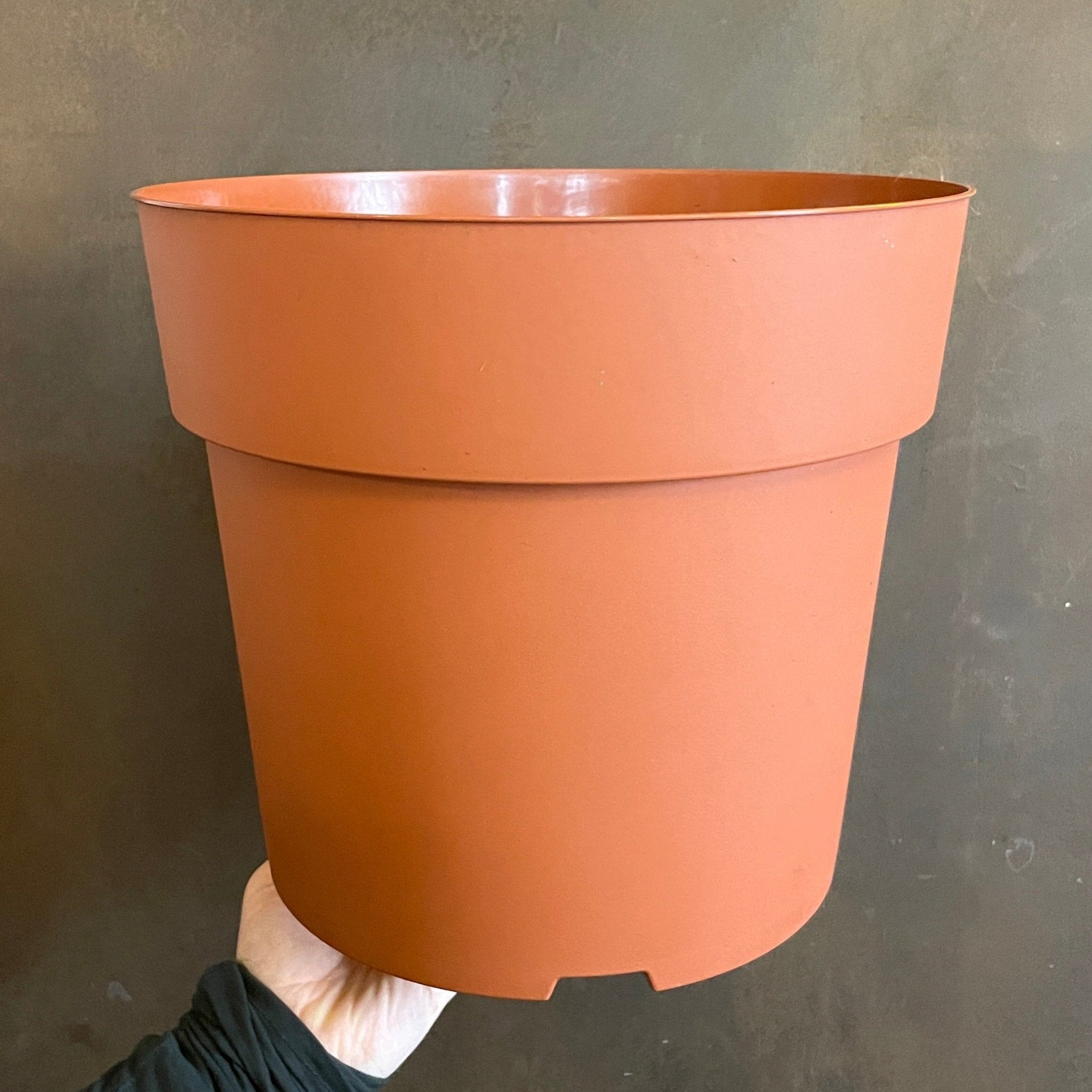 Growing Pot - Individual - grow urban. UK