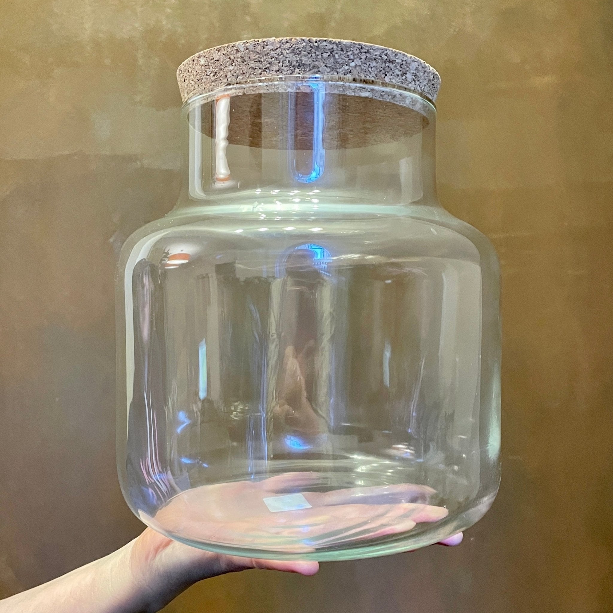 Terrarium Vessel - Jar - grow urban. UK